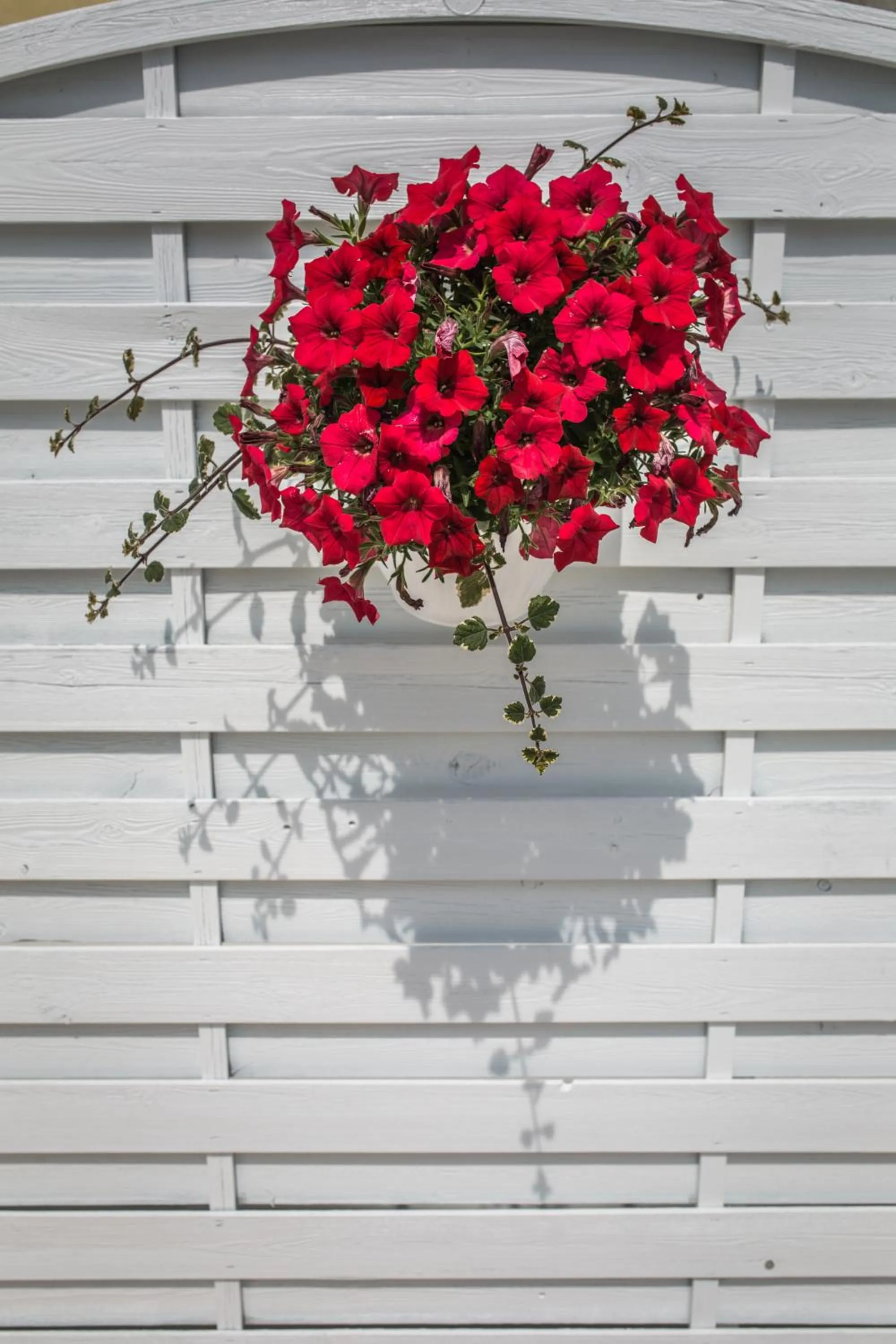 Decorative detail in Hotel Vittoria