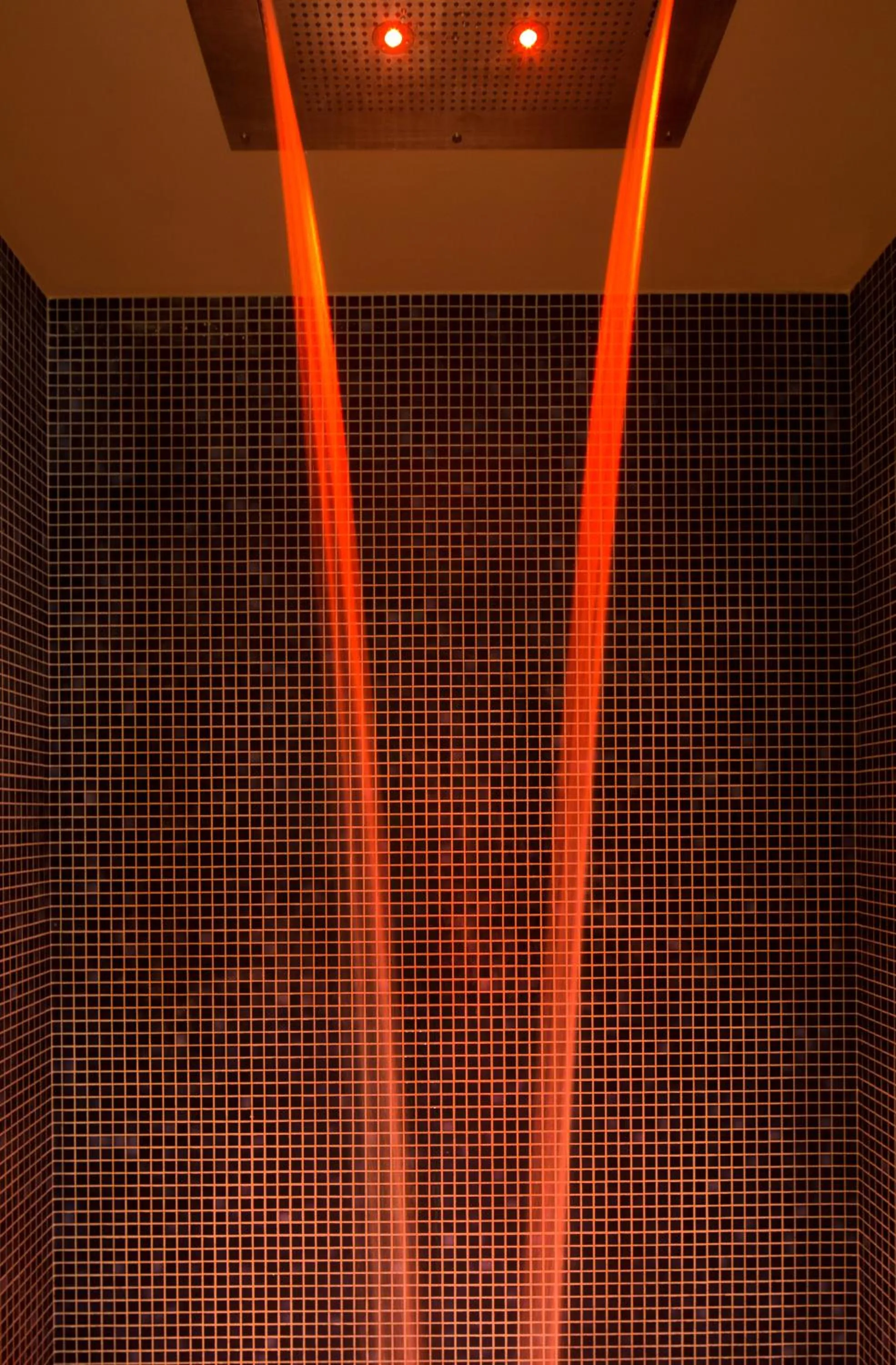 Hot Tub in Hôtel Artemisia Montmartre