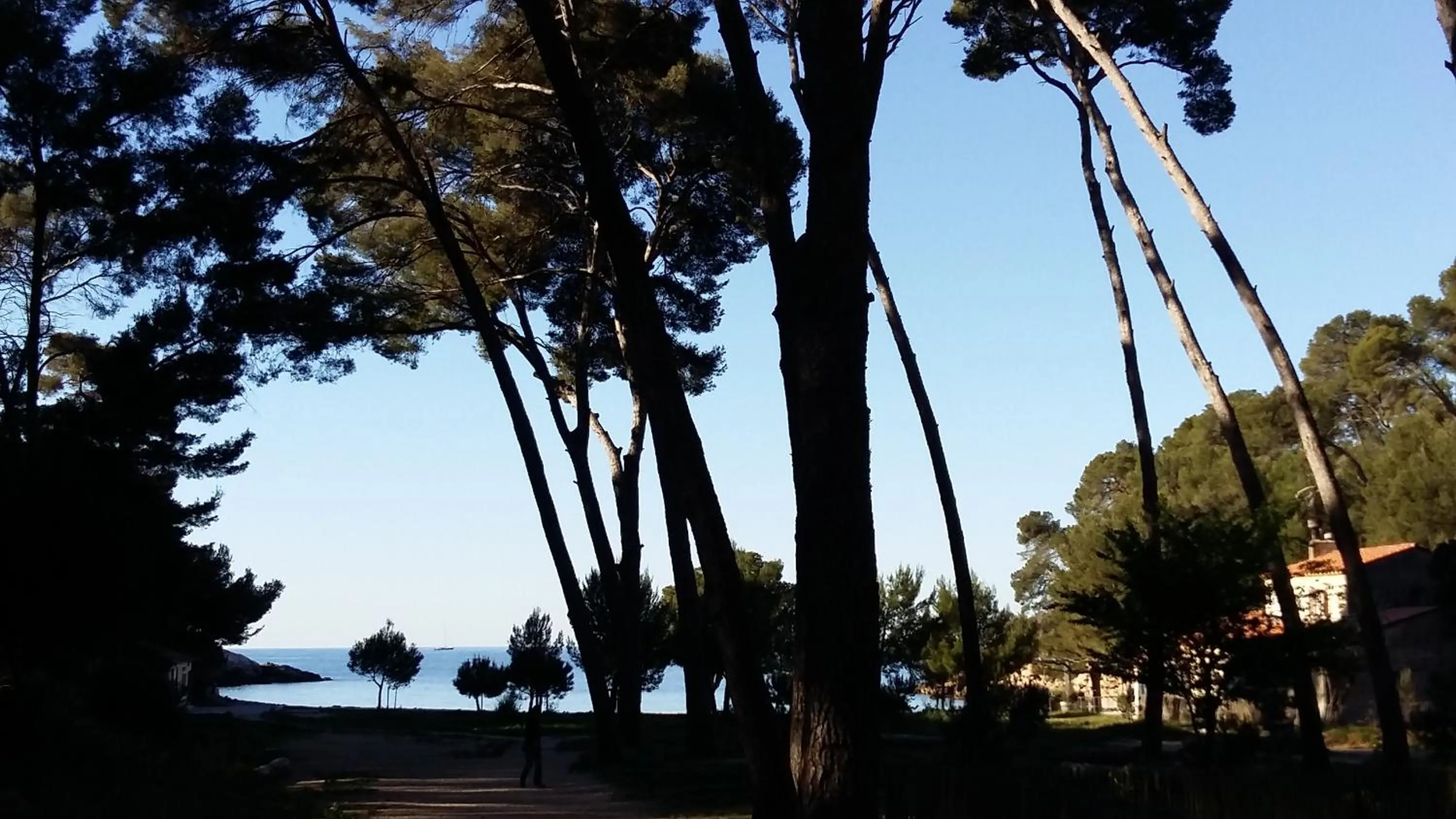 Beach in Studio del Sol