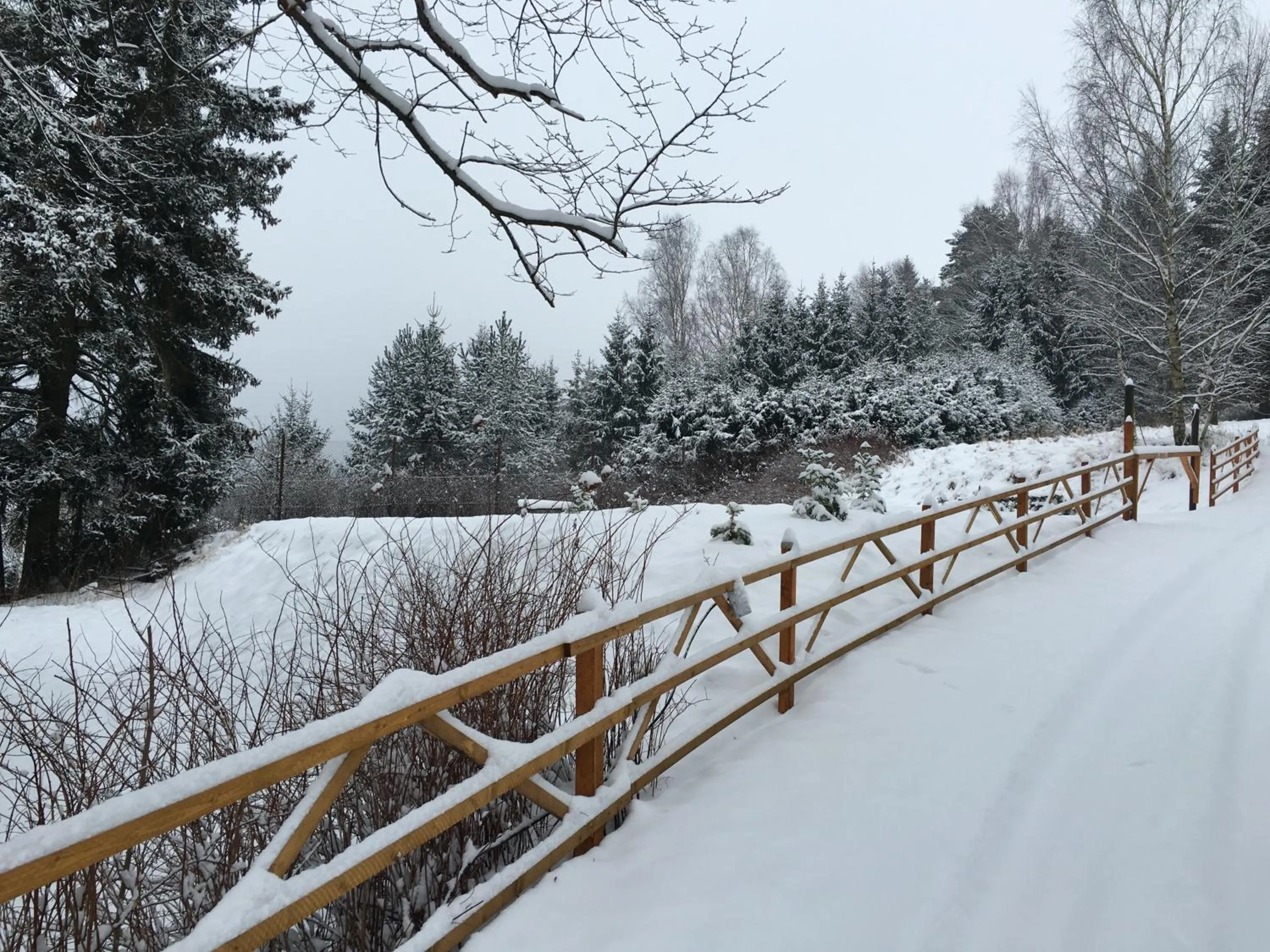 Natural landscape in Hotel & Restaurant Druidenstein