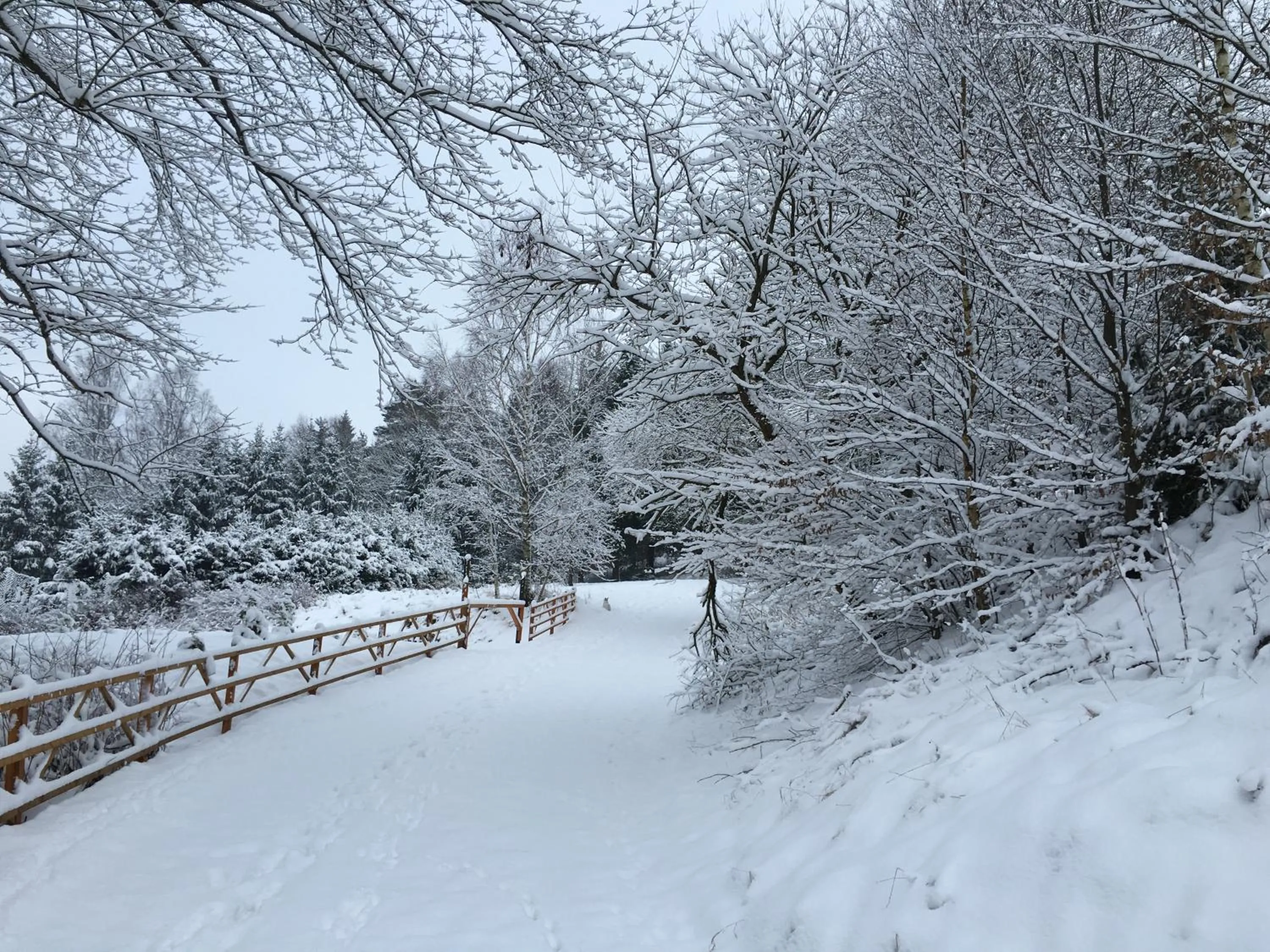 Winter in Hotel & Restaurant Druidenstein