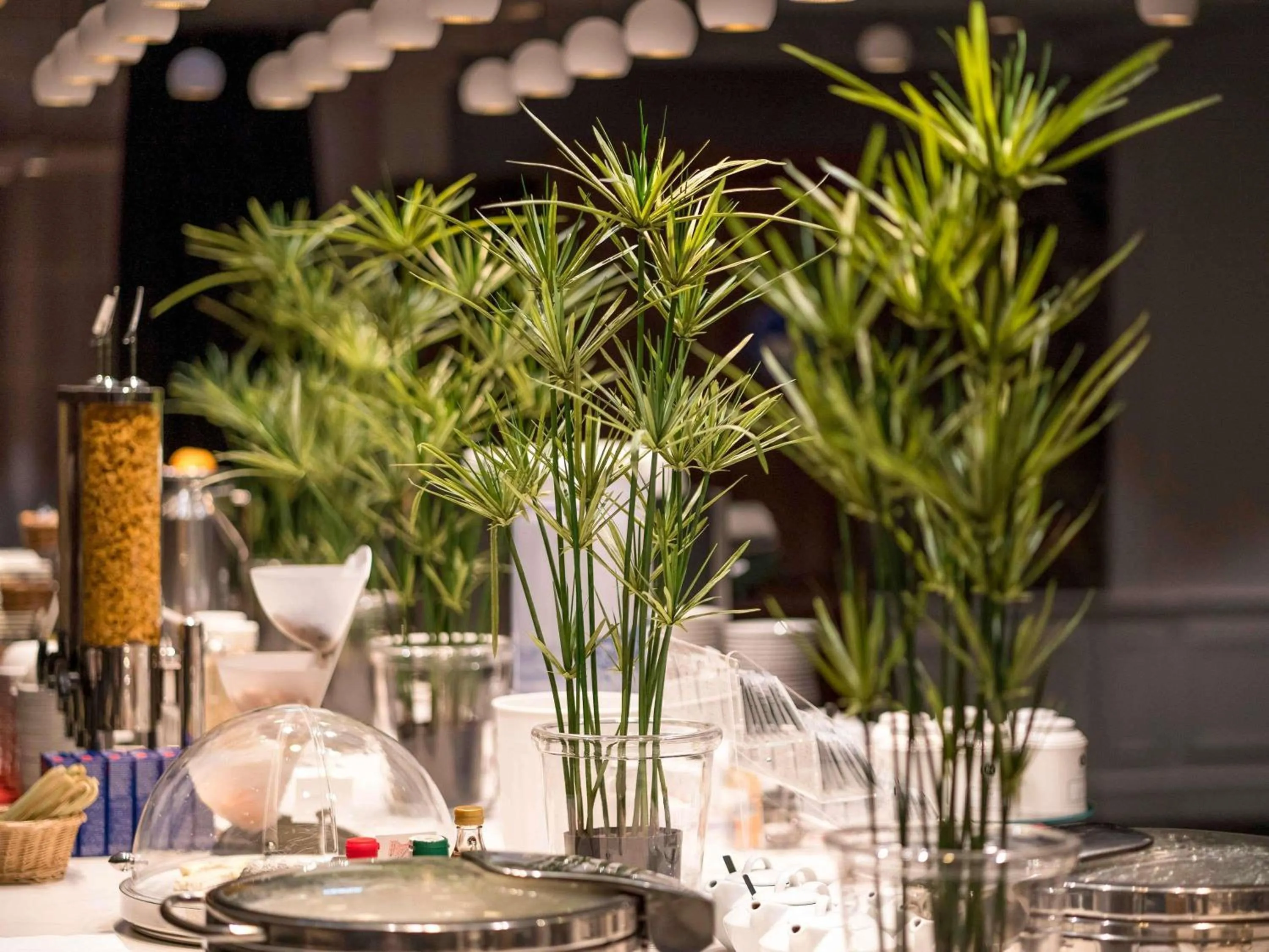 Other in Aigle Noir Hotel Fontainebleau - MGallery Collection