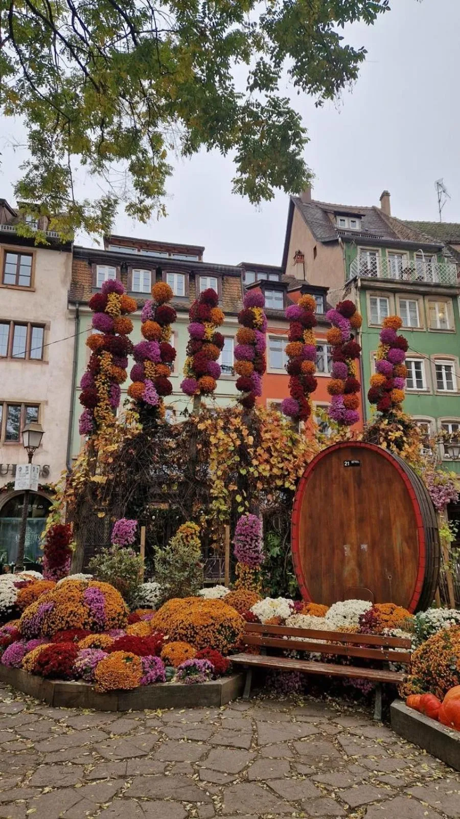 Nearby landmark in Hôtel Le Rohan, centre Cathédrale