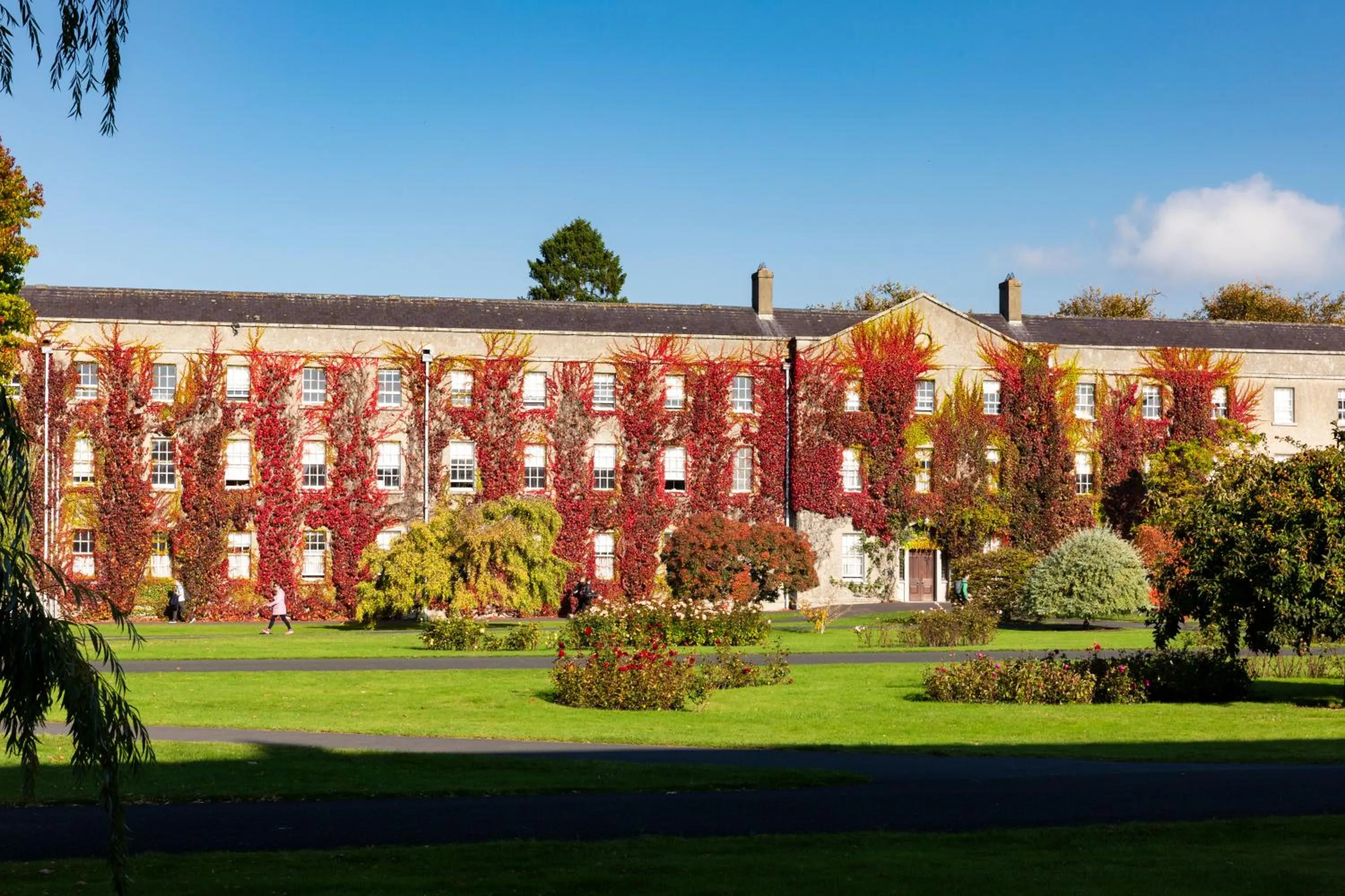 Property building in Maynooth College Hospitality