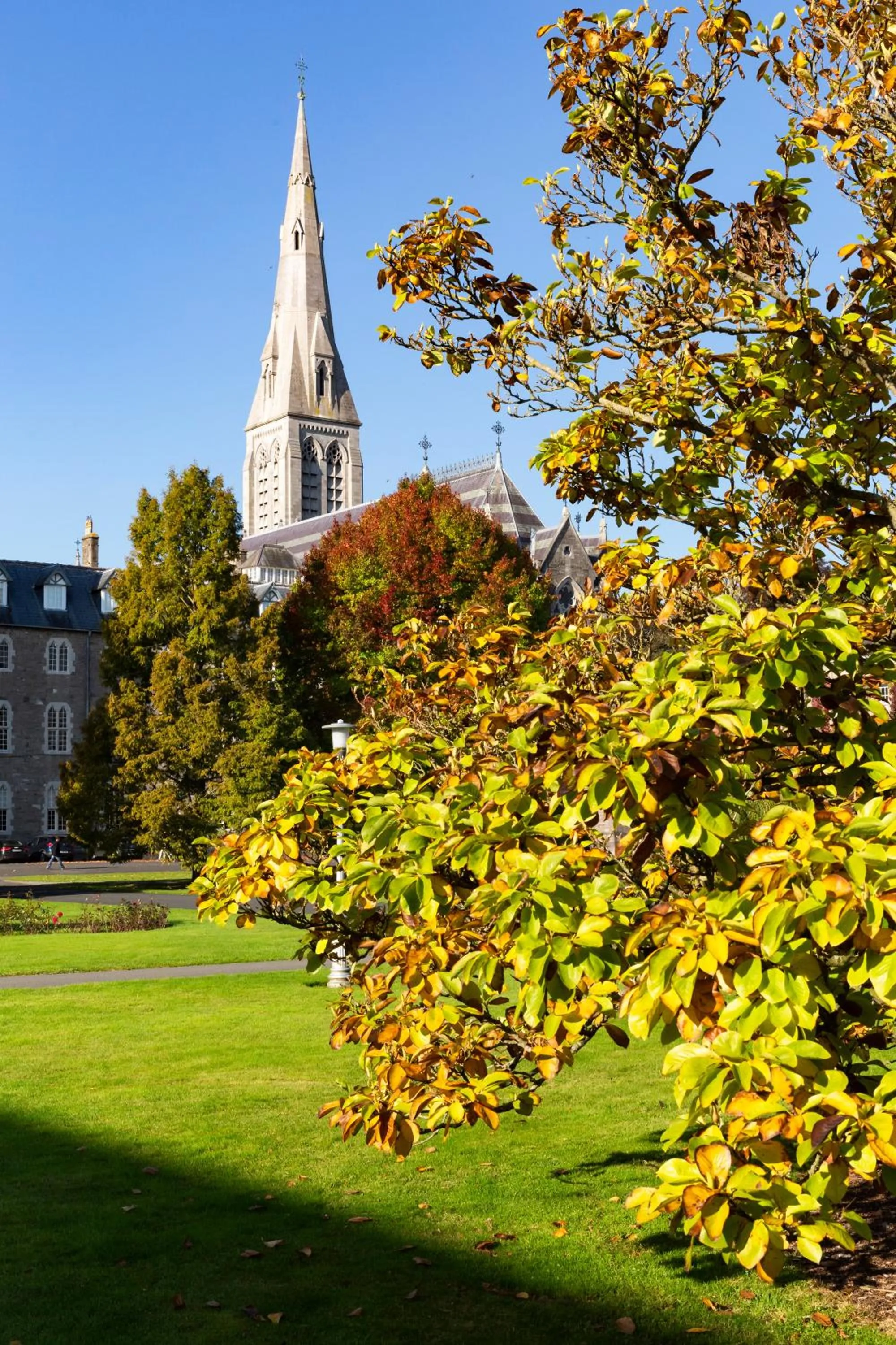 Nearby landmark in Maynooth College Hospitality