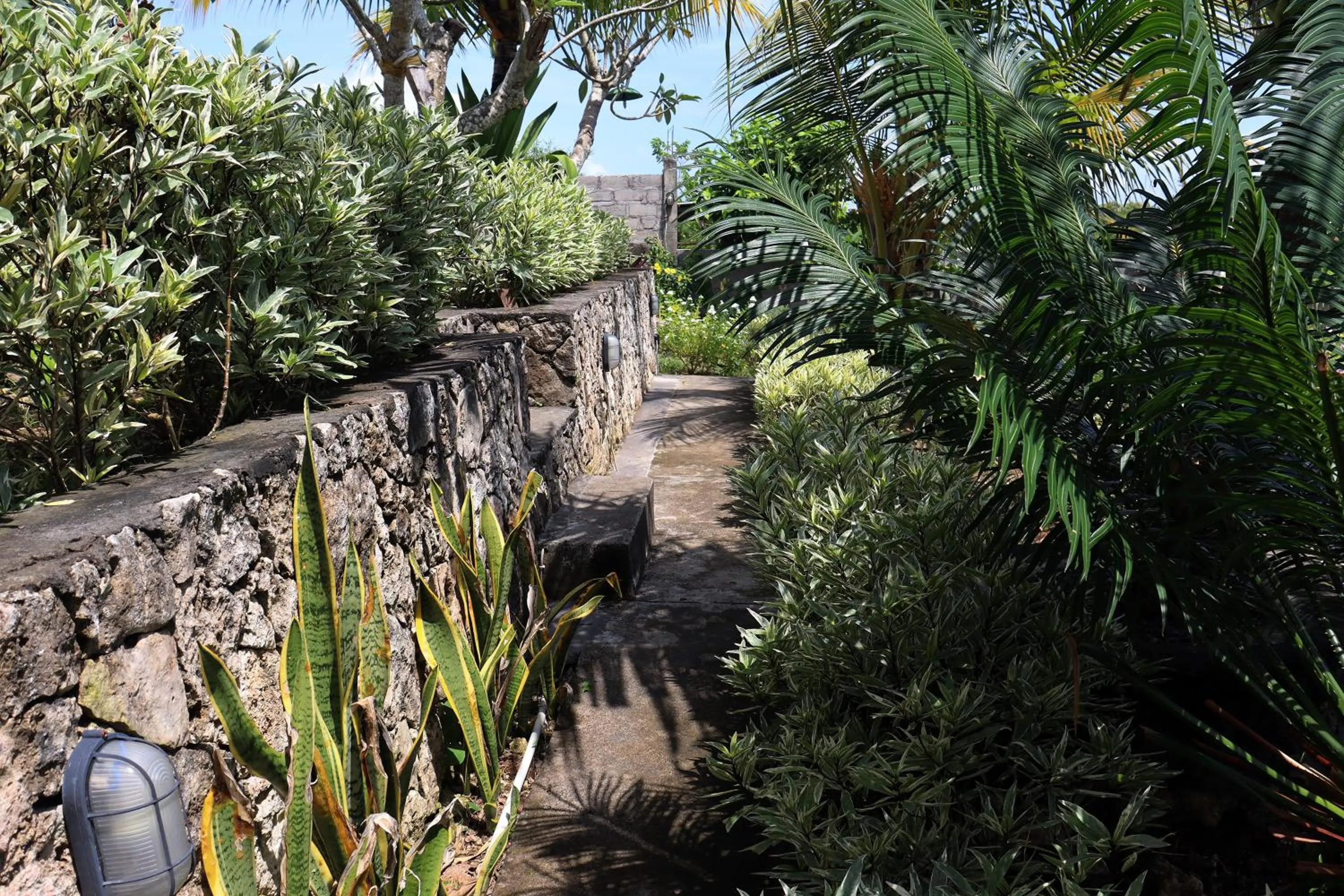 Garden in Sunny Point Penida