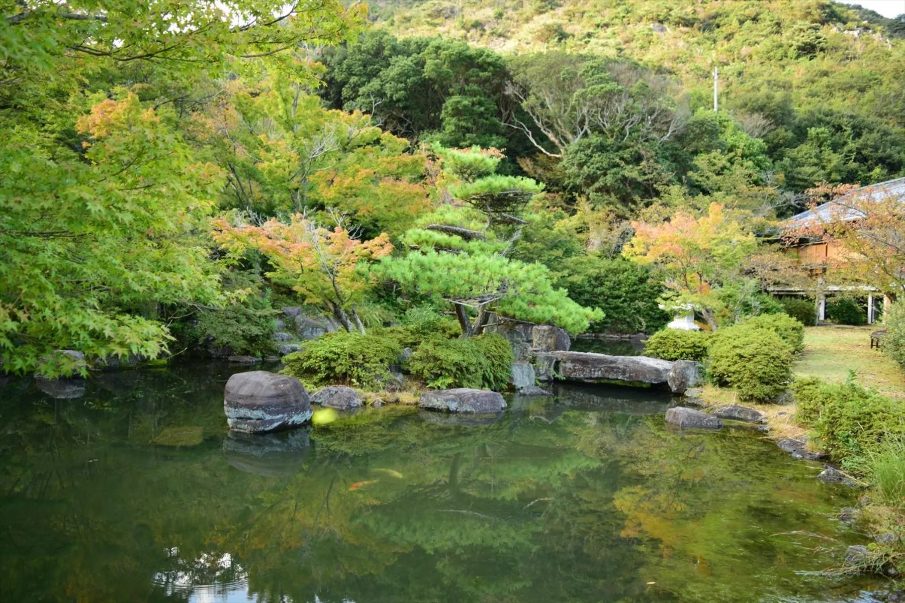 Off site in Sea Tiger Island Inn Shodoshima