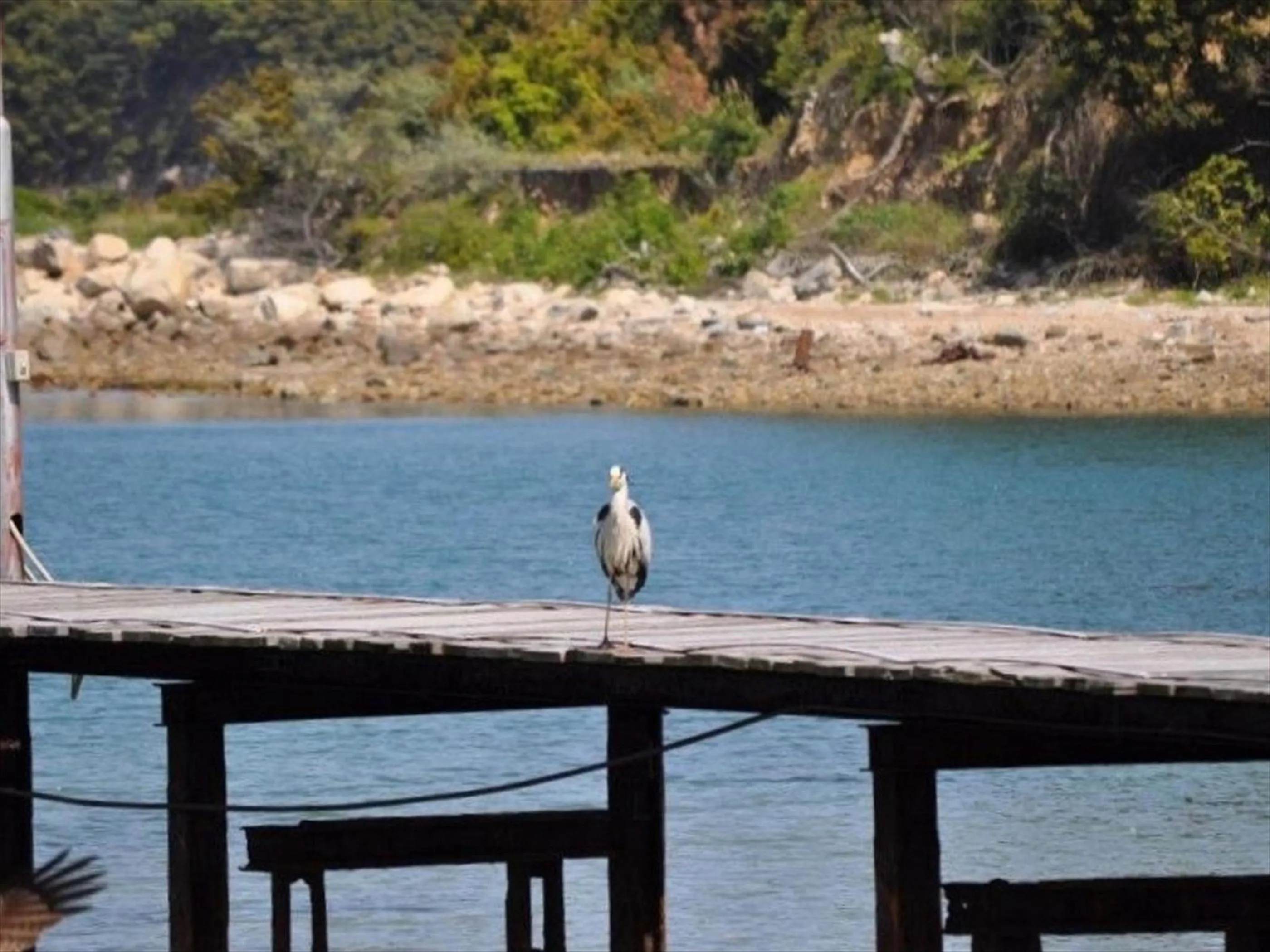 Natural landscape in Sea Tiger Island Inn Shodoshima