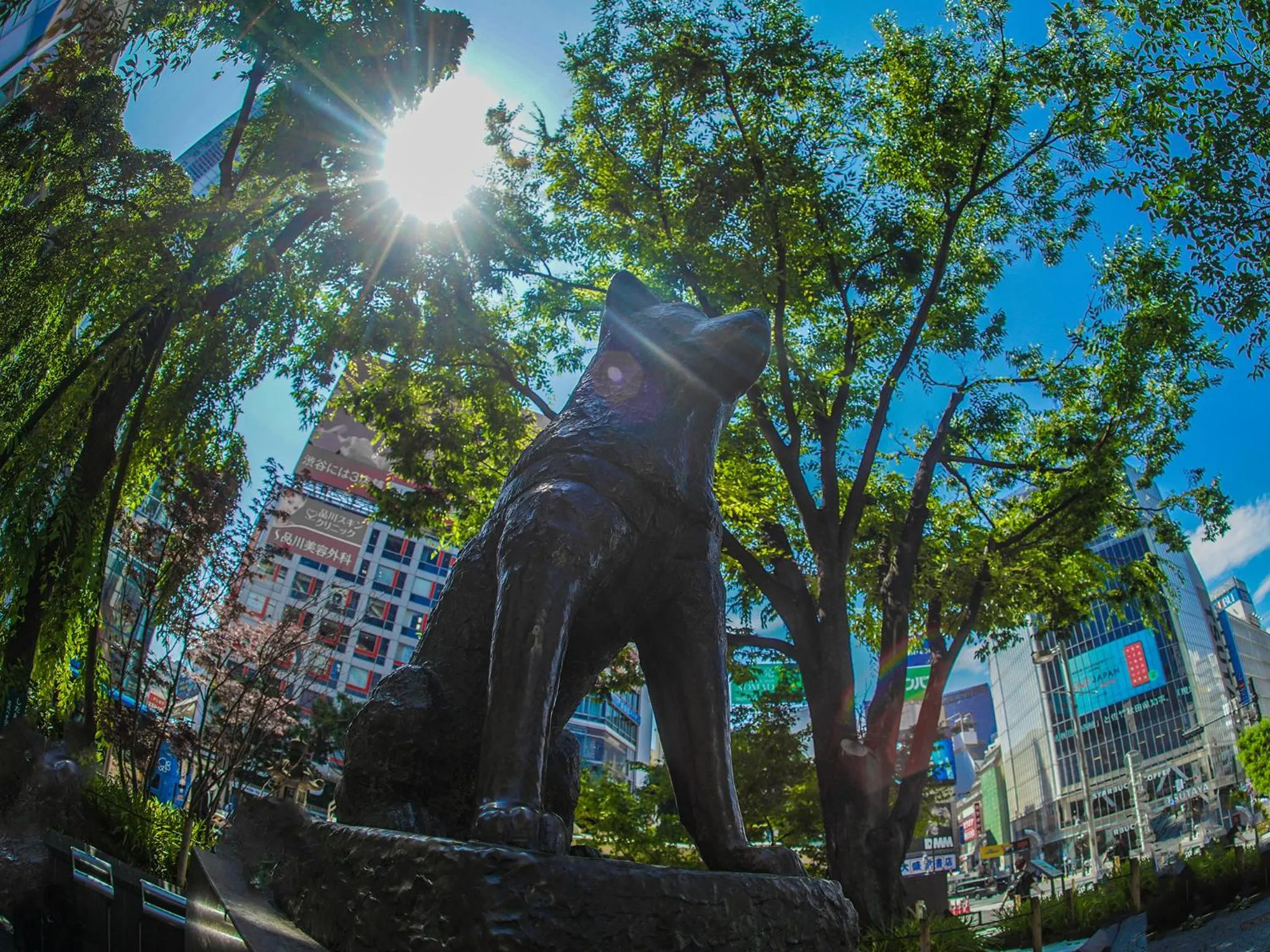 Nearby landmark in Ginza Creston