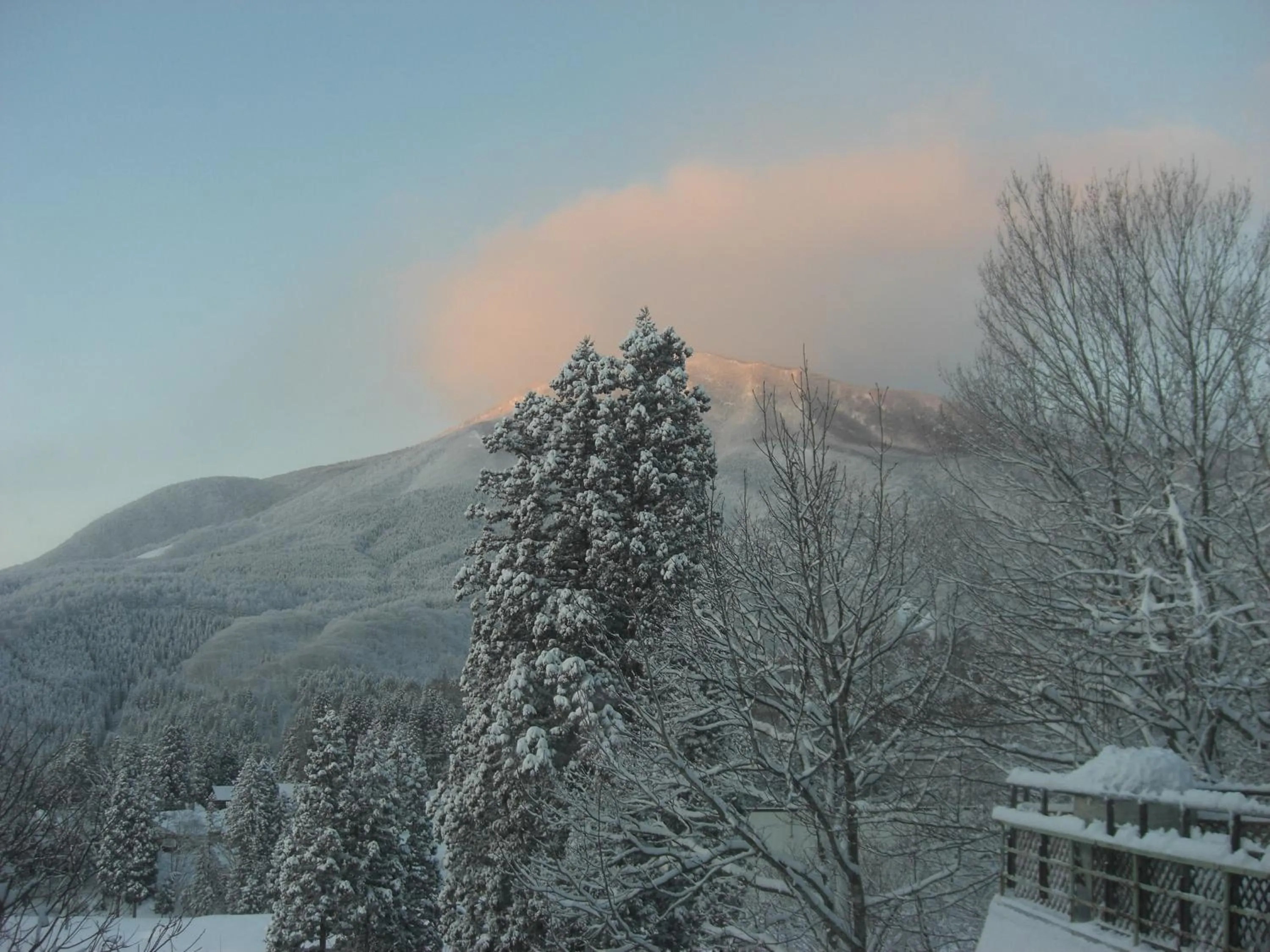 Winter in Soratobu Usagi