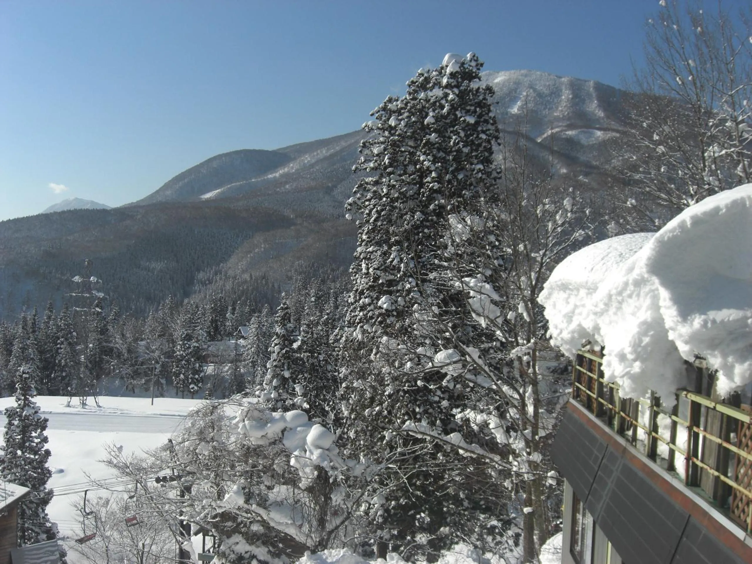 Day in Soratobu Usagi