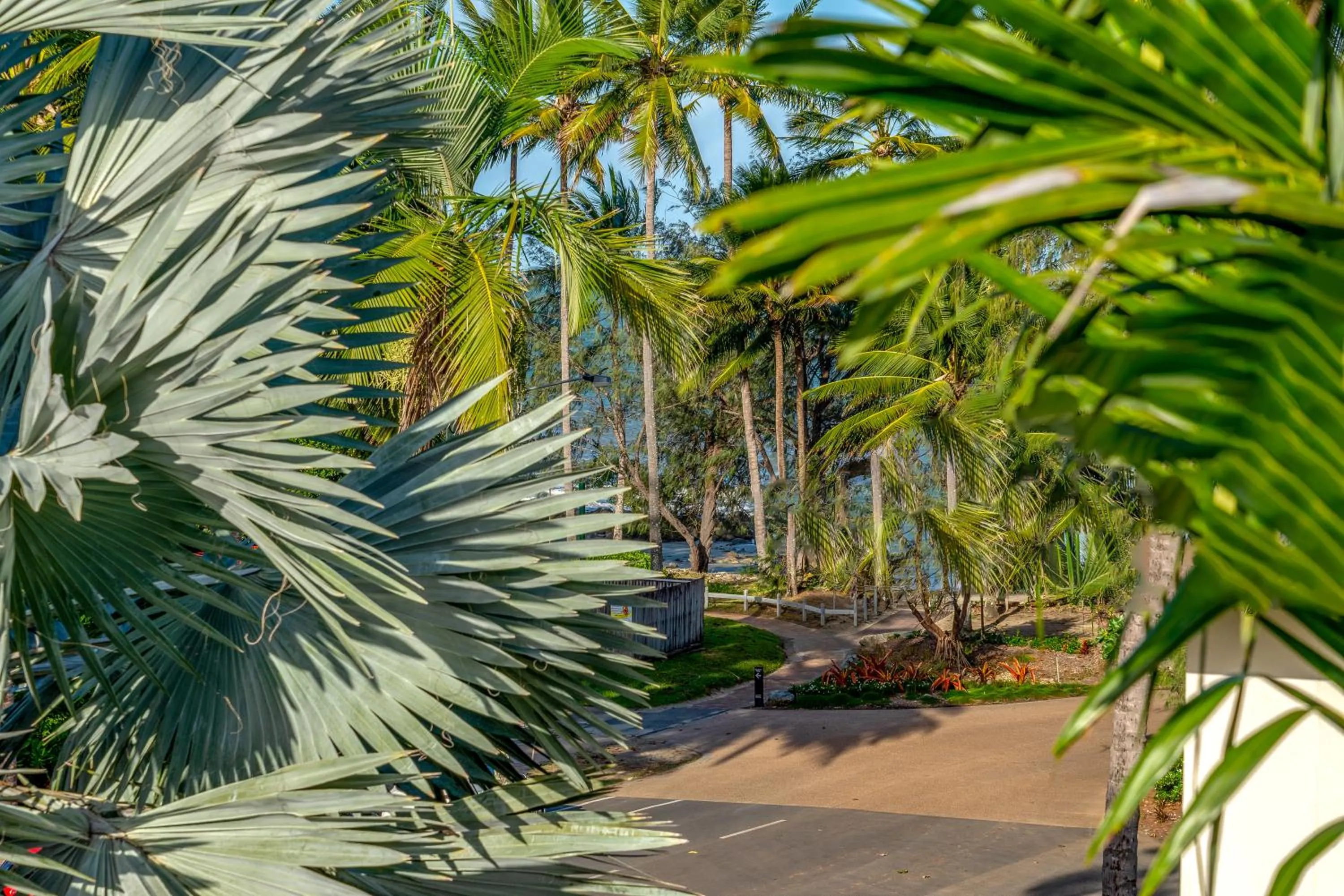 Natural landscape in Driftwood Mantaray - Official Onsite Reception and Check In