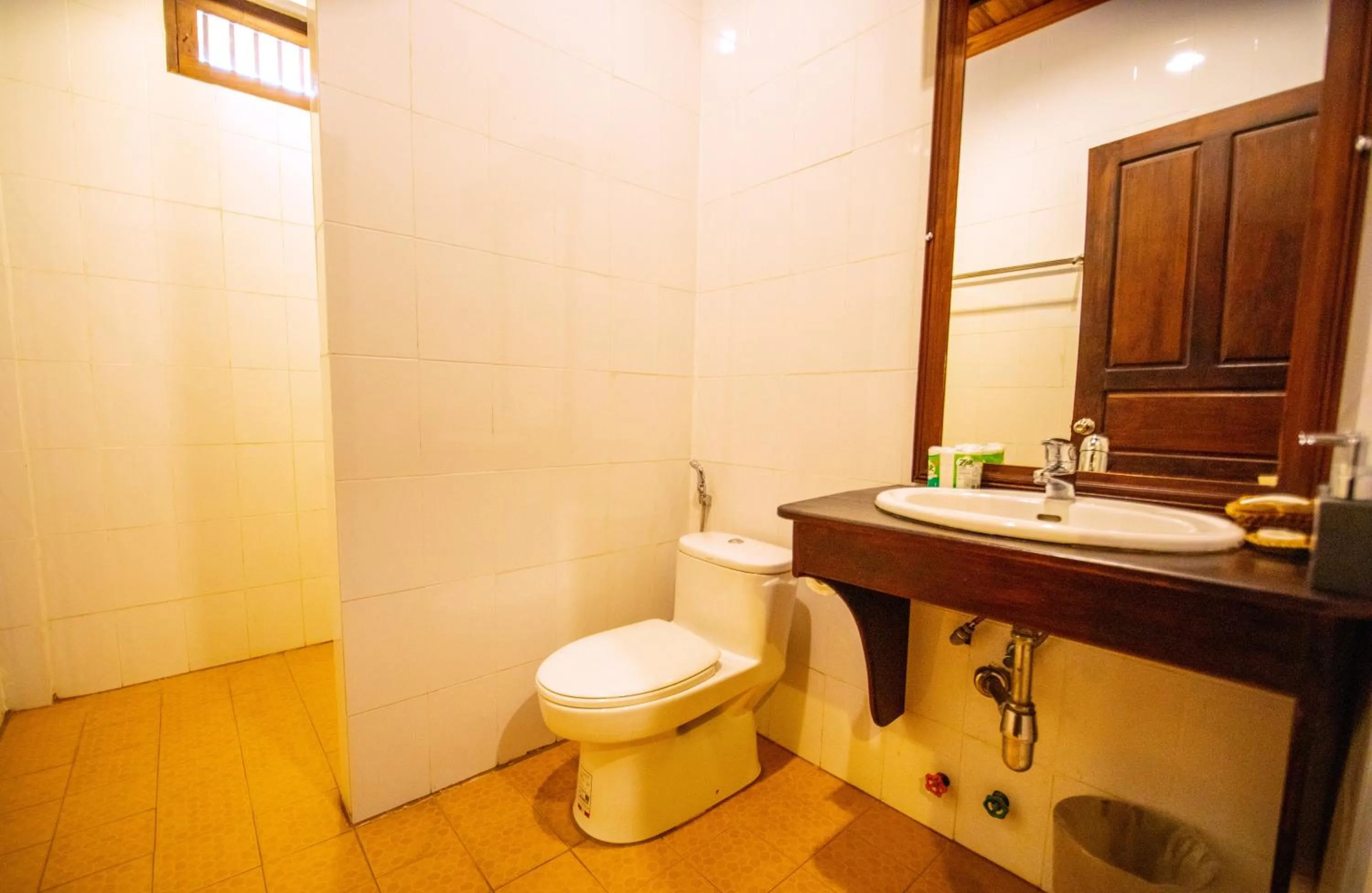 Toilet in Treasure Hotel Laos