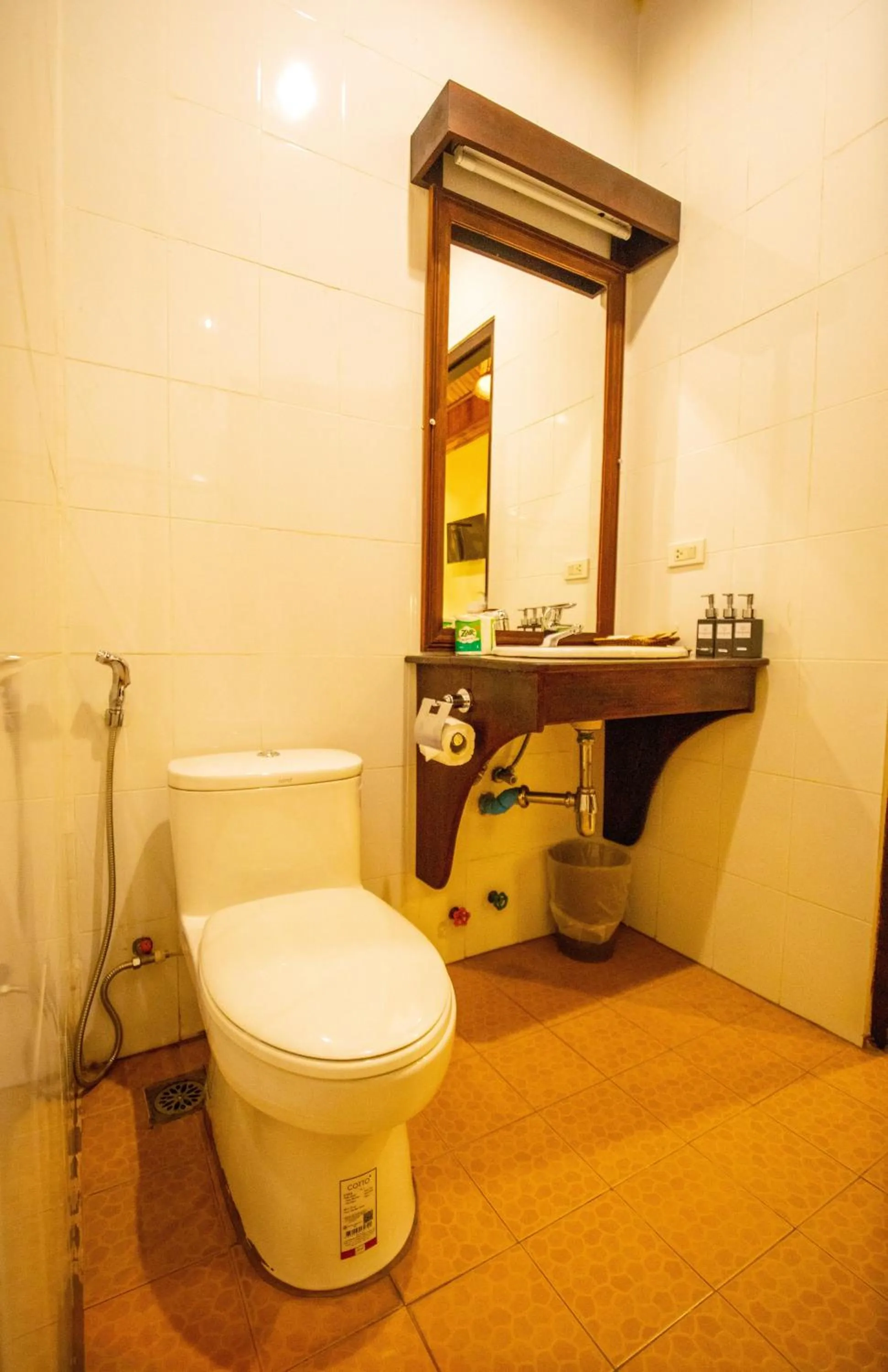 Toilet in Treasure Hotel Laos