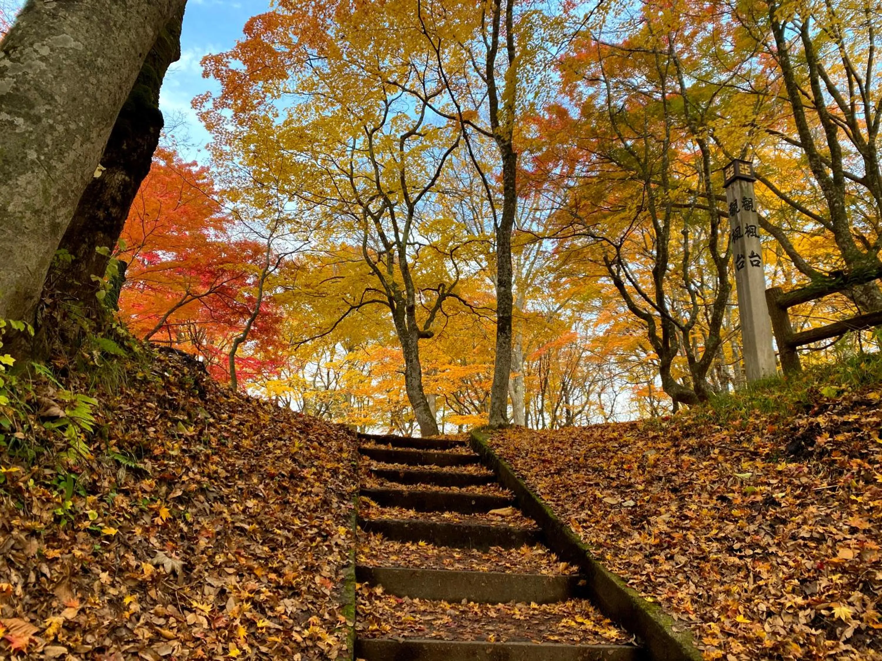 Nearby landmark in Tabinoyado Saikawa