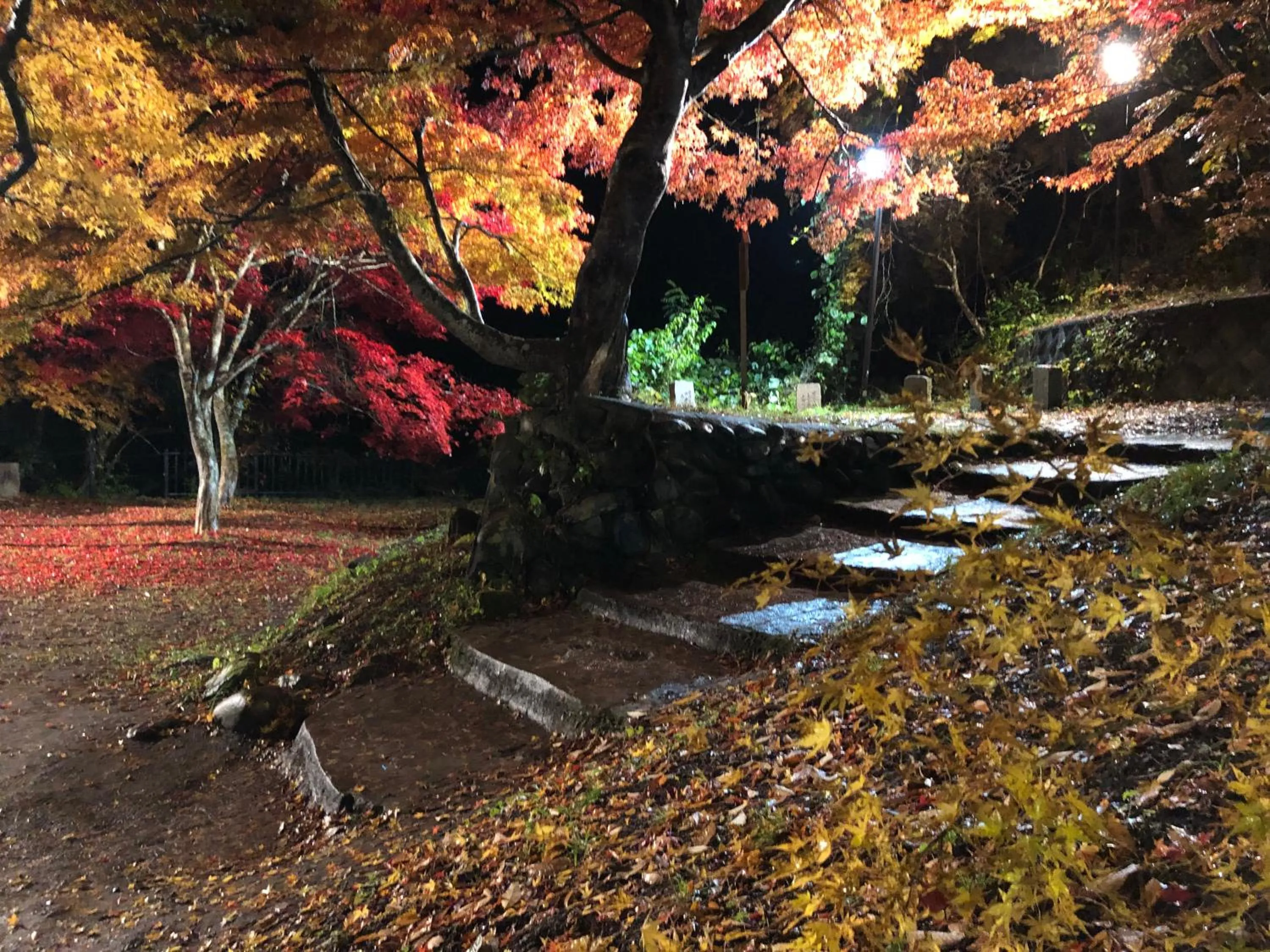 Nearby landmark in Tabinoyado Saikawa