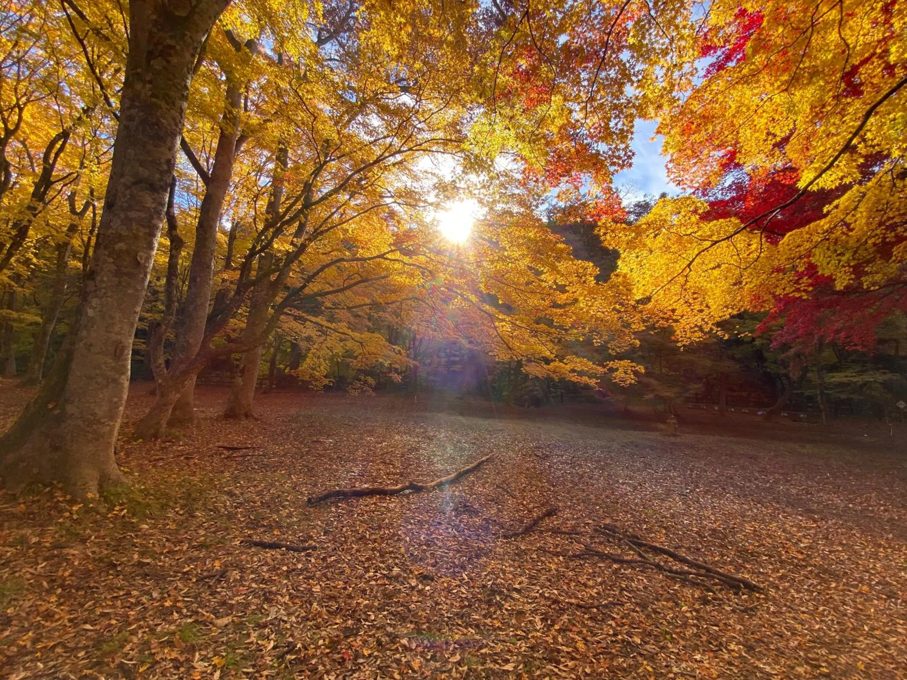 Nearby landmark in Tabinoyado Saikawa