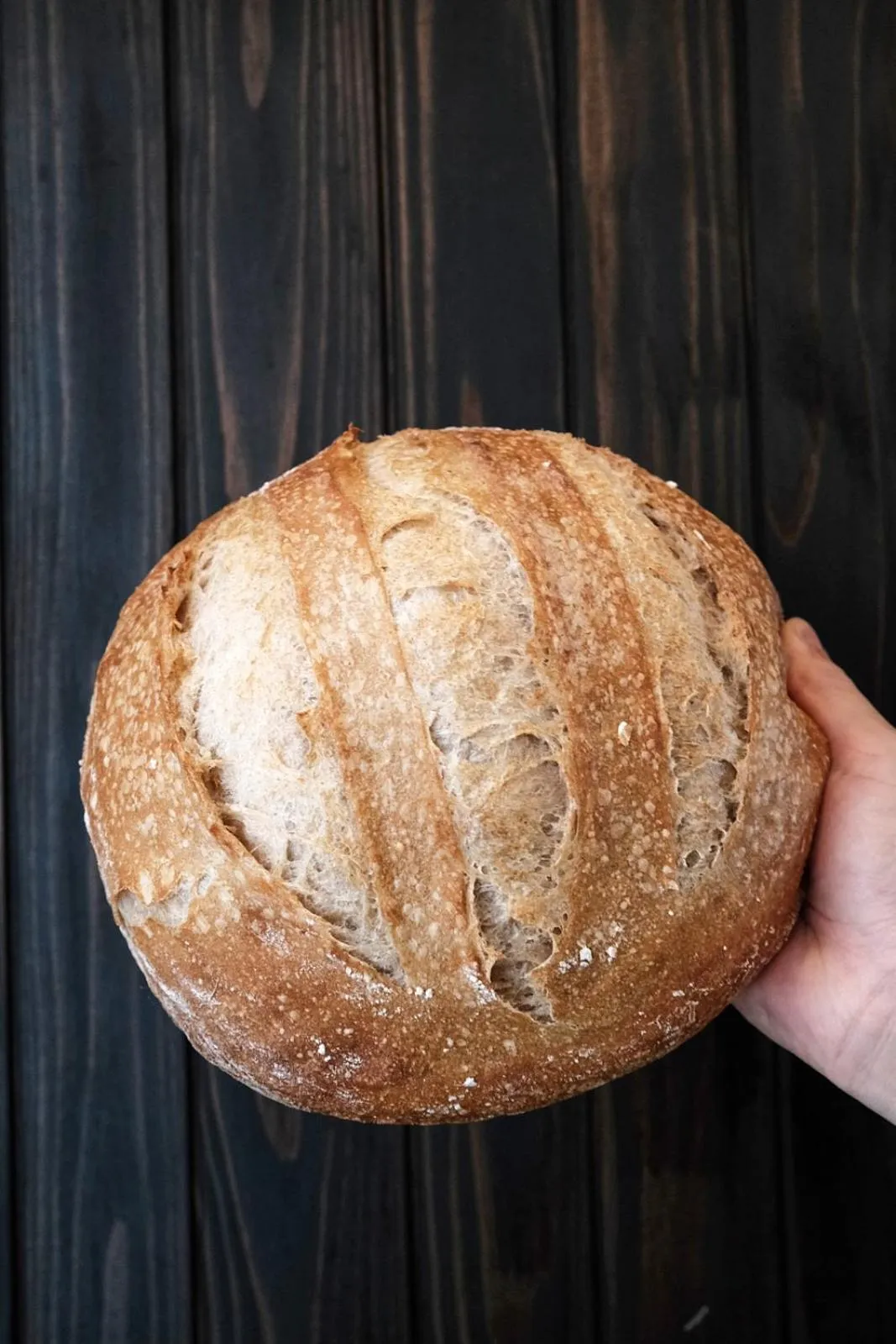 Food and drinks in ISANA Resort