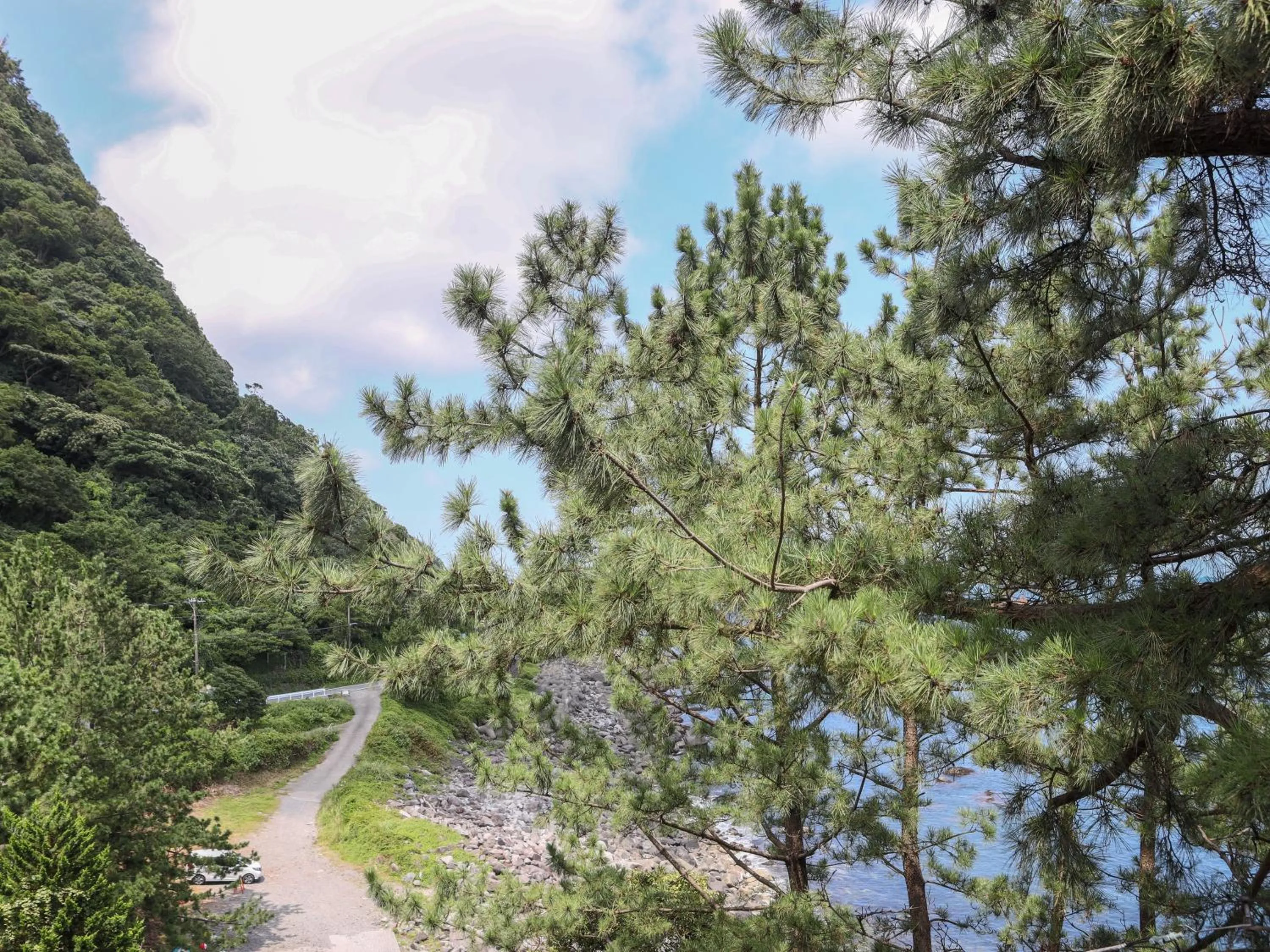 Natural landscape in ISANA Resort