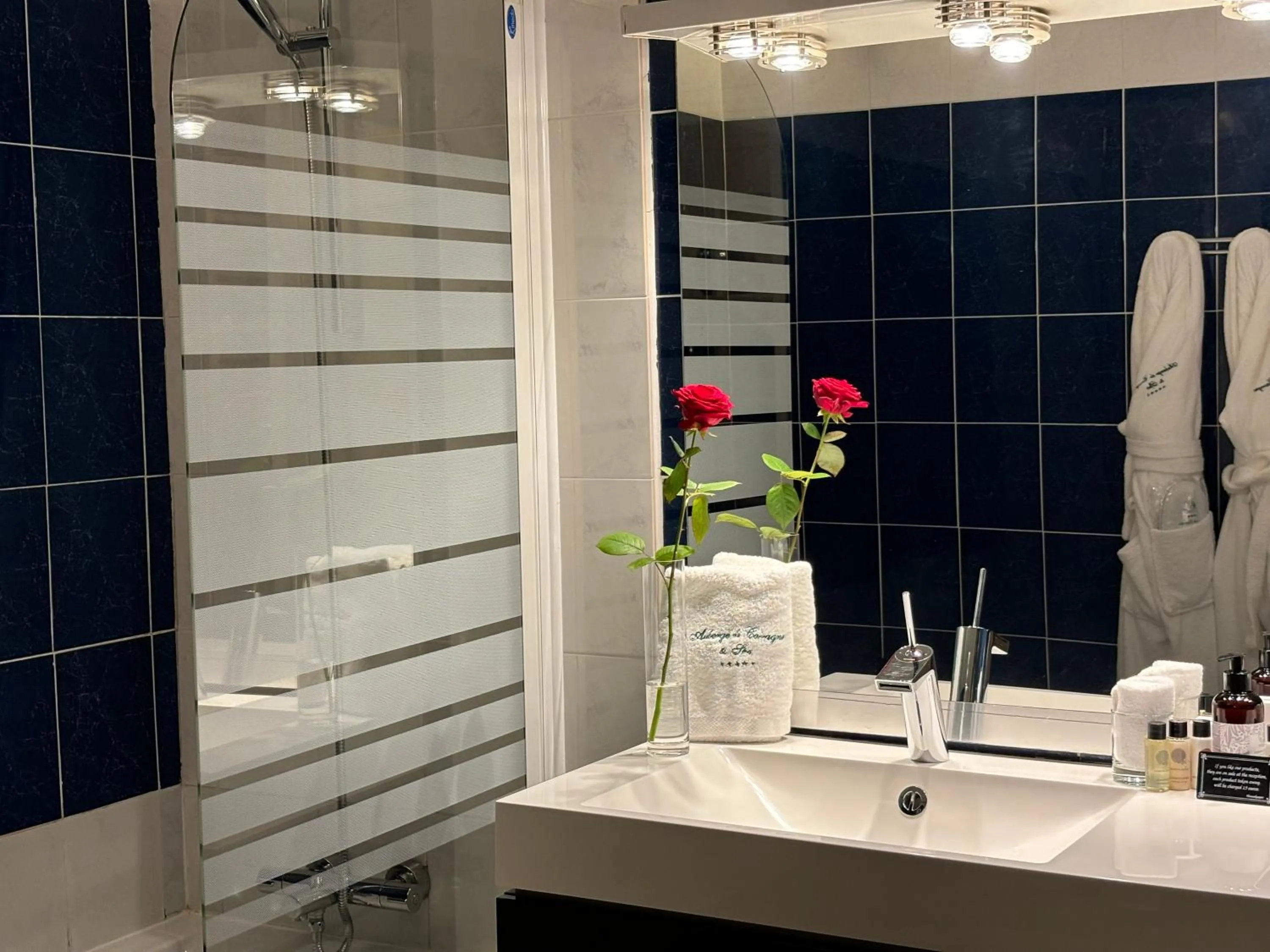 Bathroom in Auberge de Cassagne & Spa