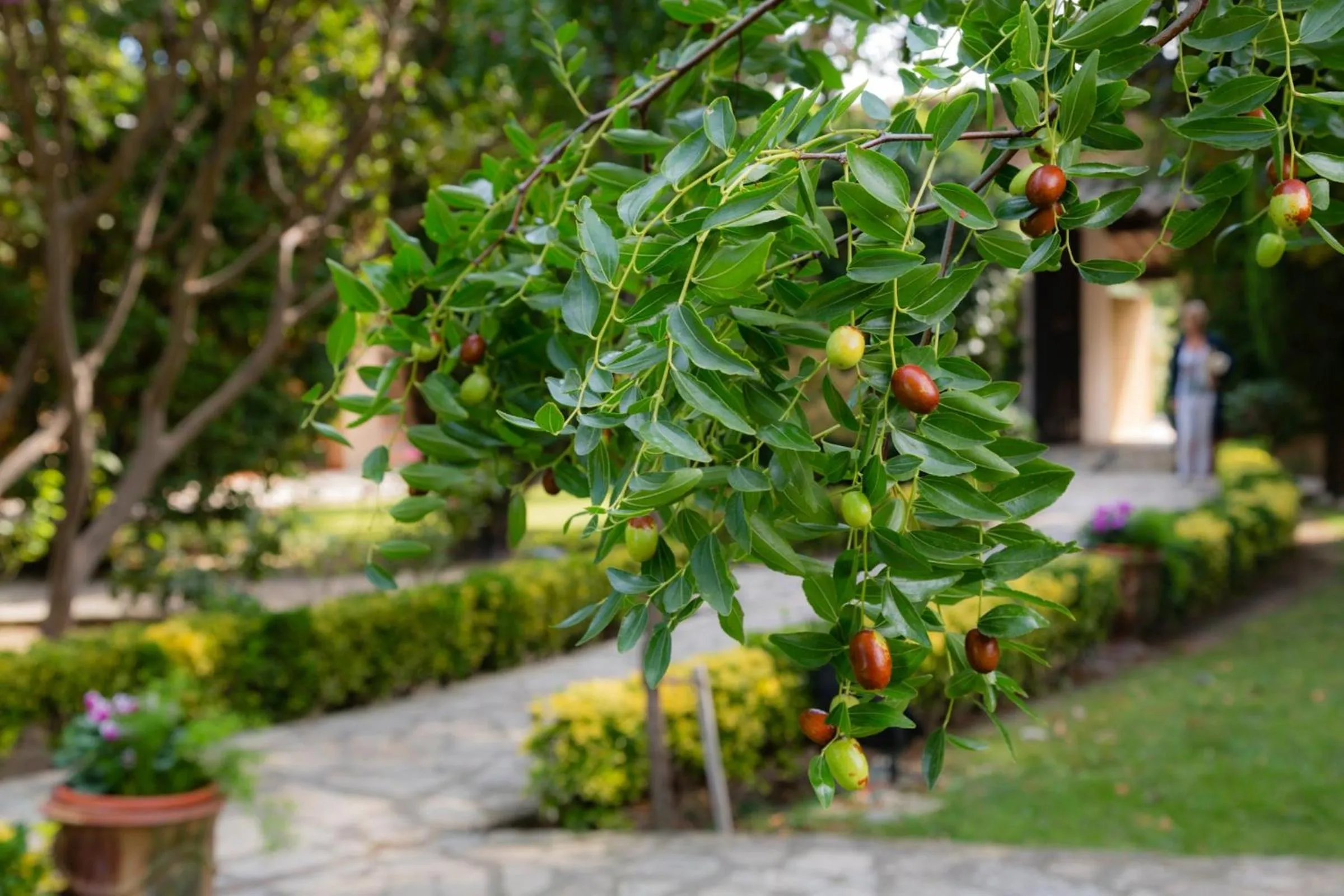 Garden in Auberge de Cassagne & Spa