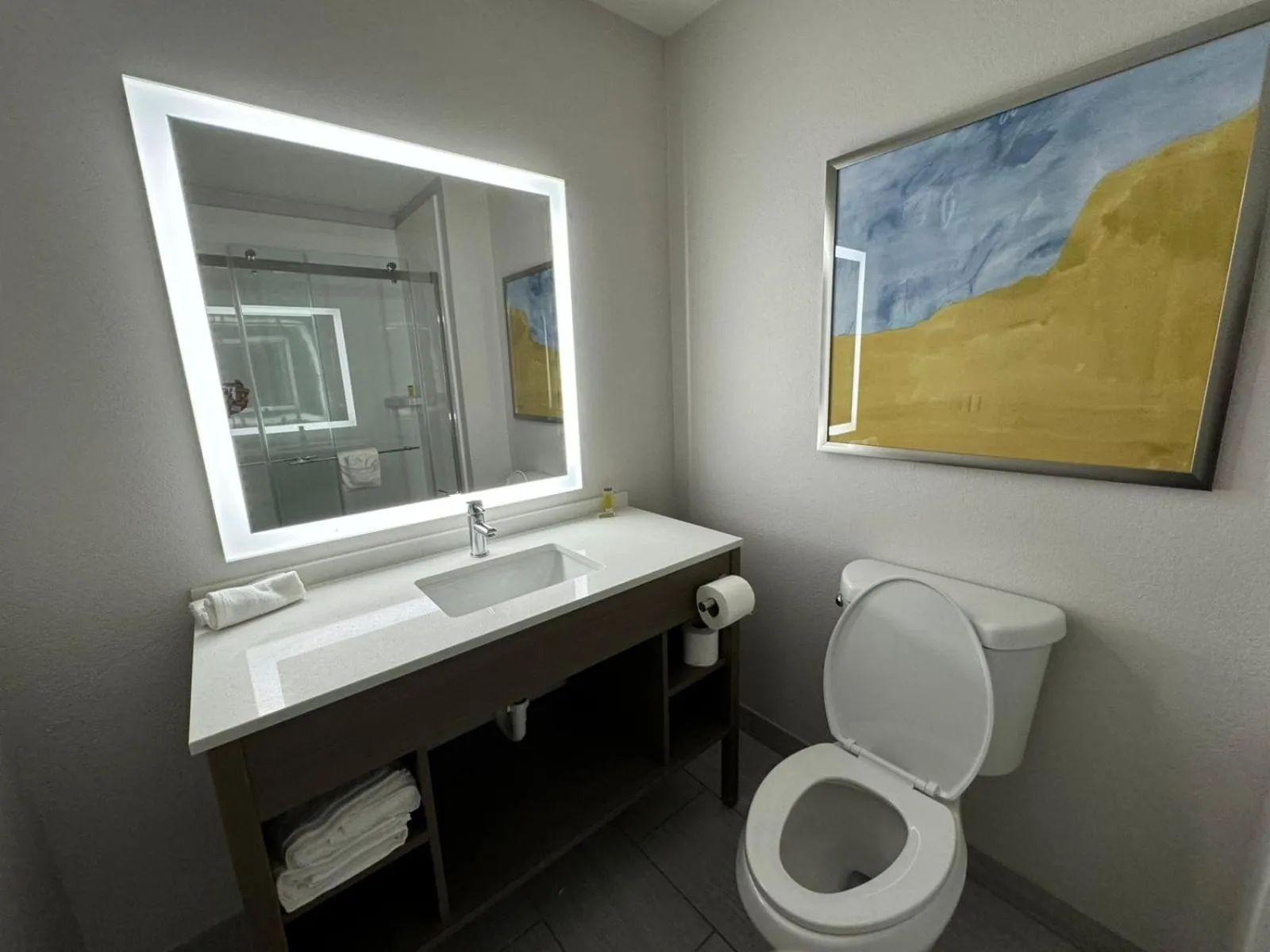 Bathroom in Halsted Inn and Suites Harvey - Chicago Southland