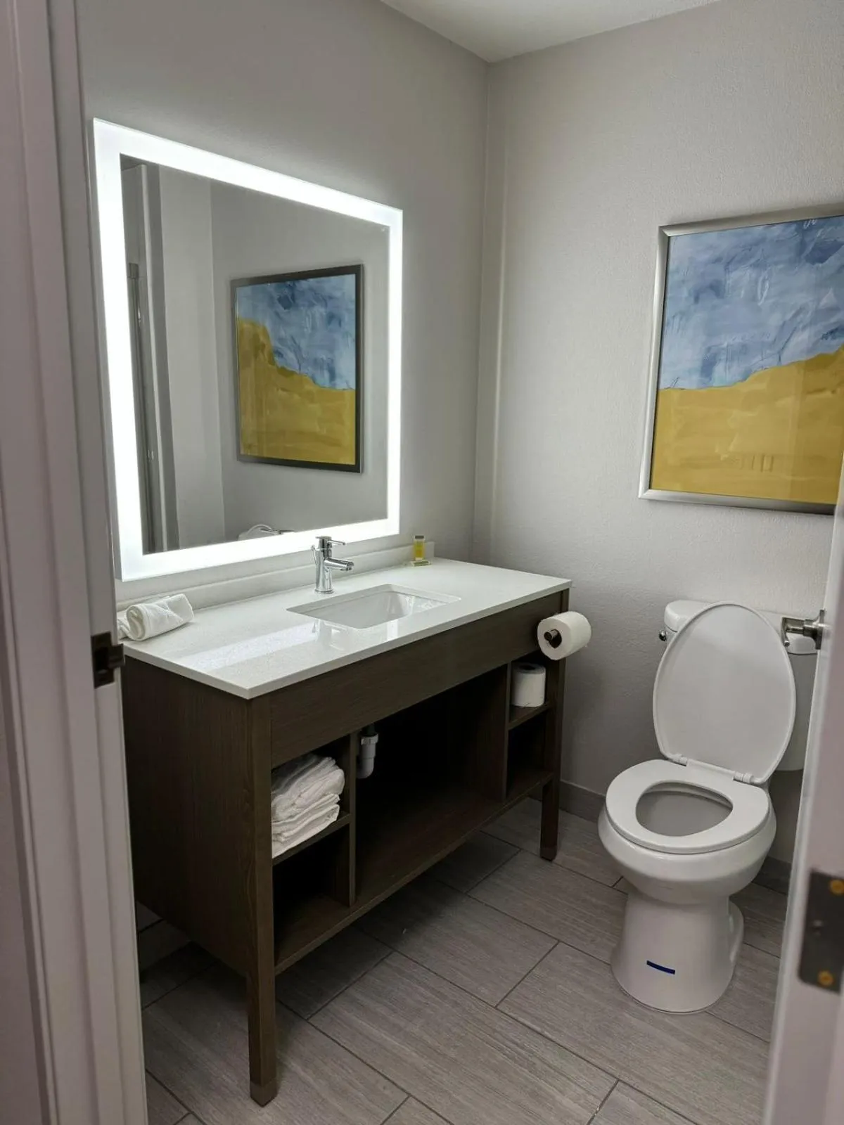 Bathroom in Halsted Inn and Suites Harvey - Chicago Southland