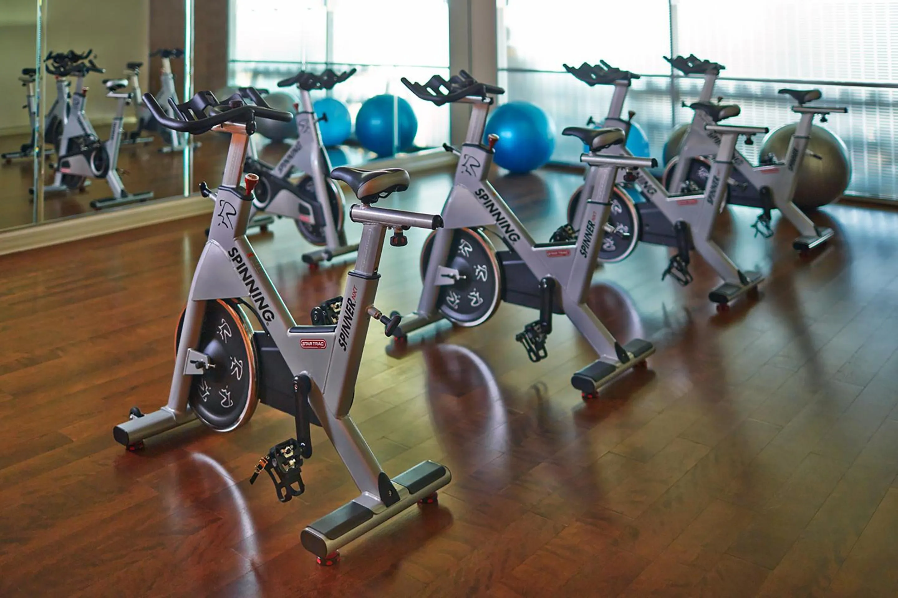 Fitness centre/facilities in Hotel Arista