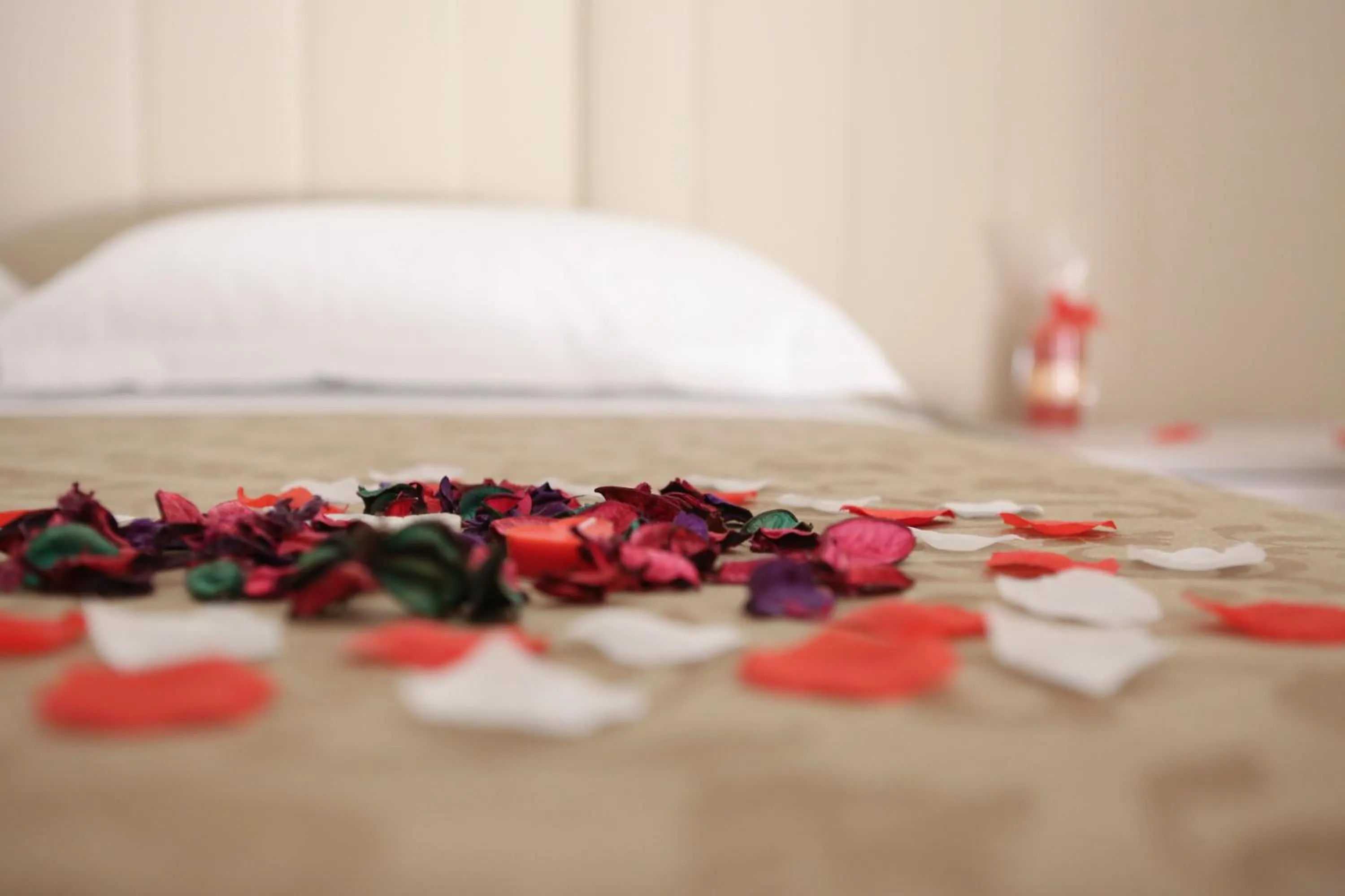 Bed in Coluni Sport & Resort srl