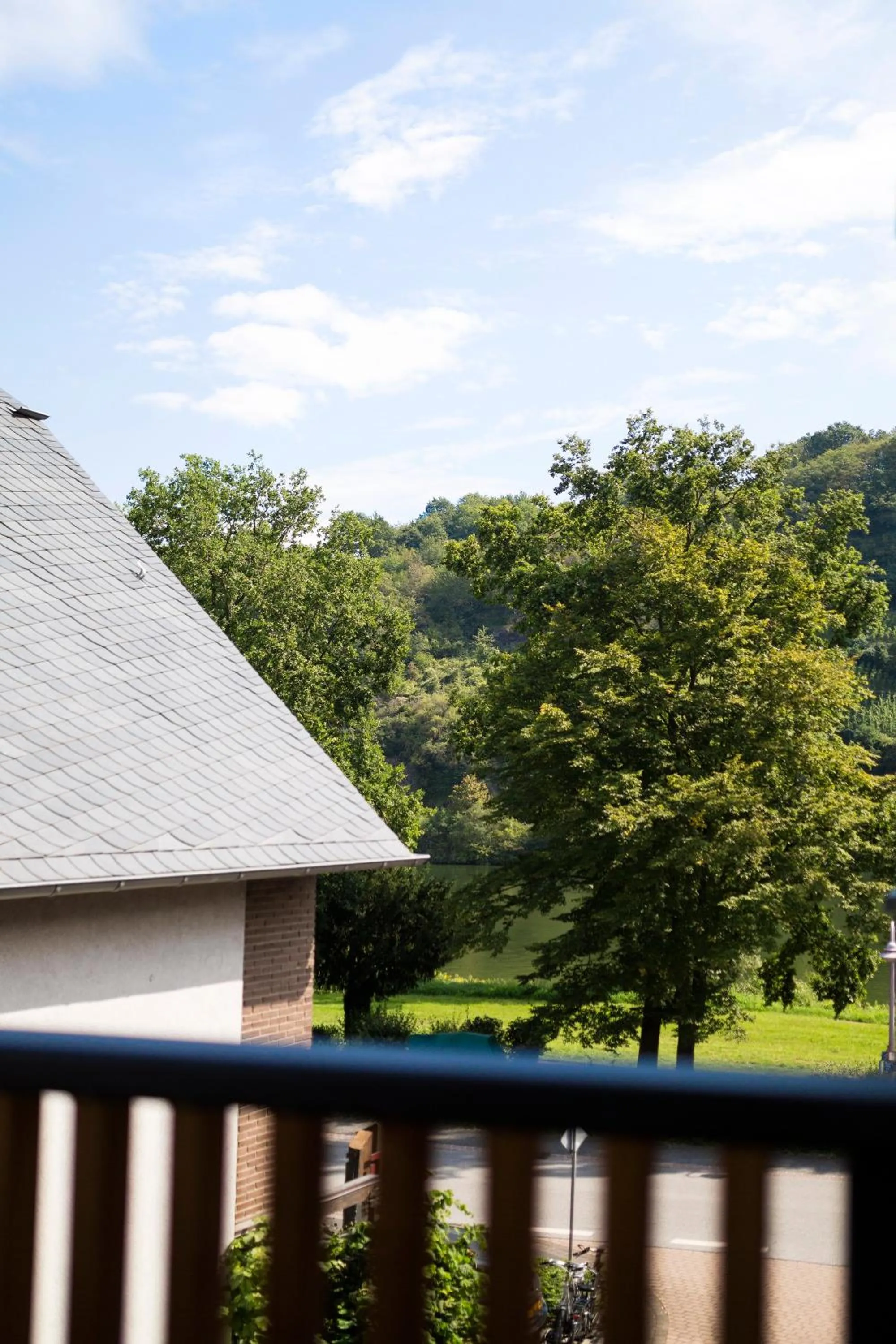 River view in Rieslingquartier - Mosel Wein Hotel