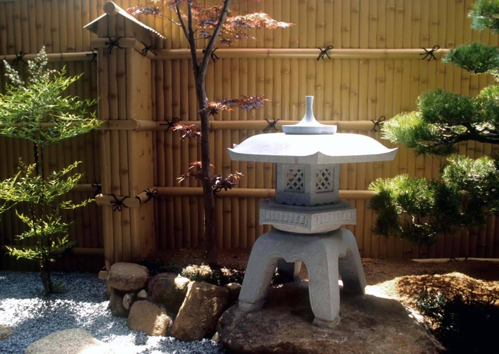 Garden in Nakagawa's Cozy House