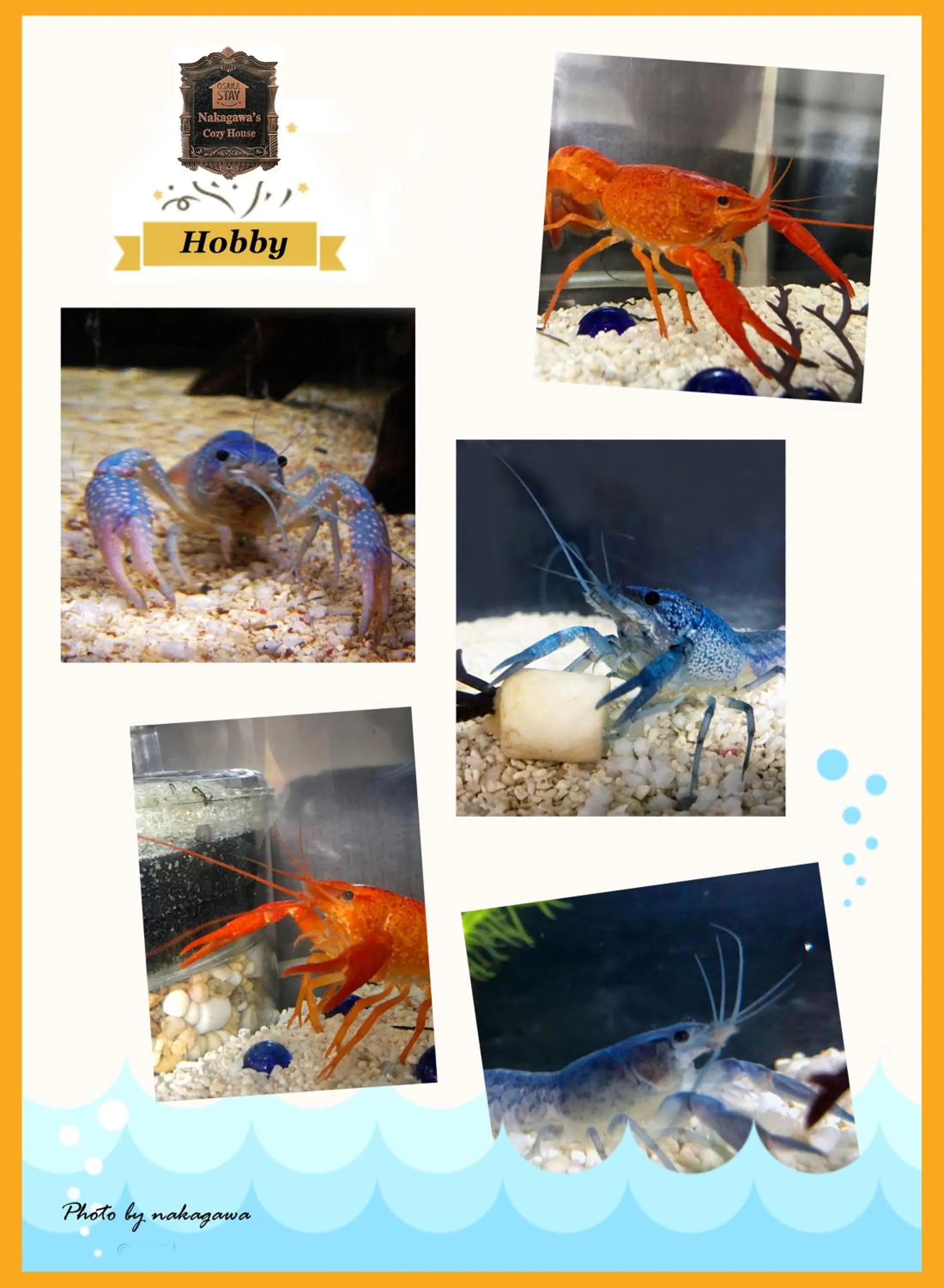 Family in Nakagawa's Cozy House