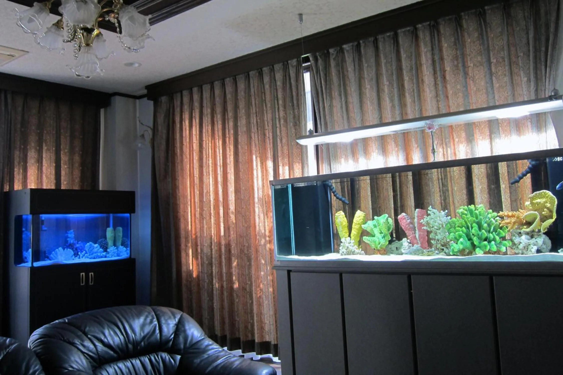 Living room in Nakagawa's Cozy House