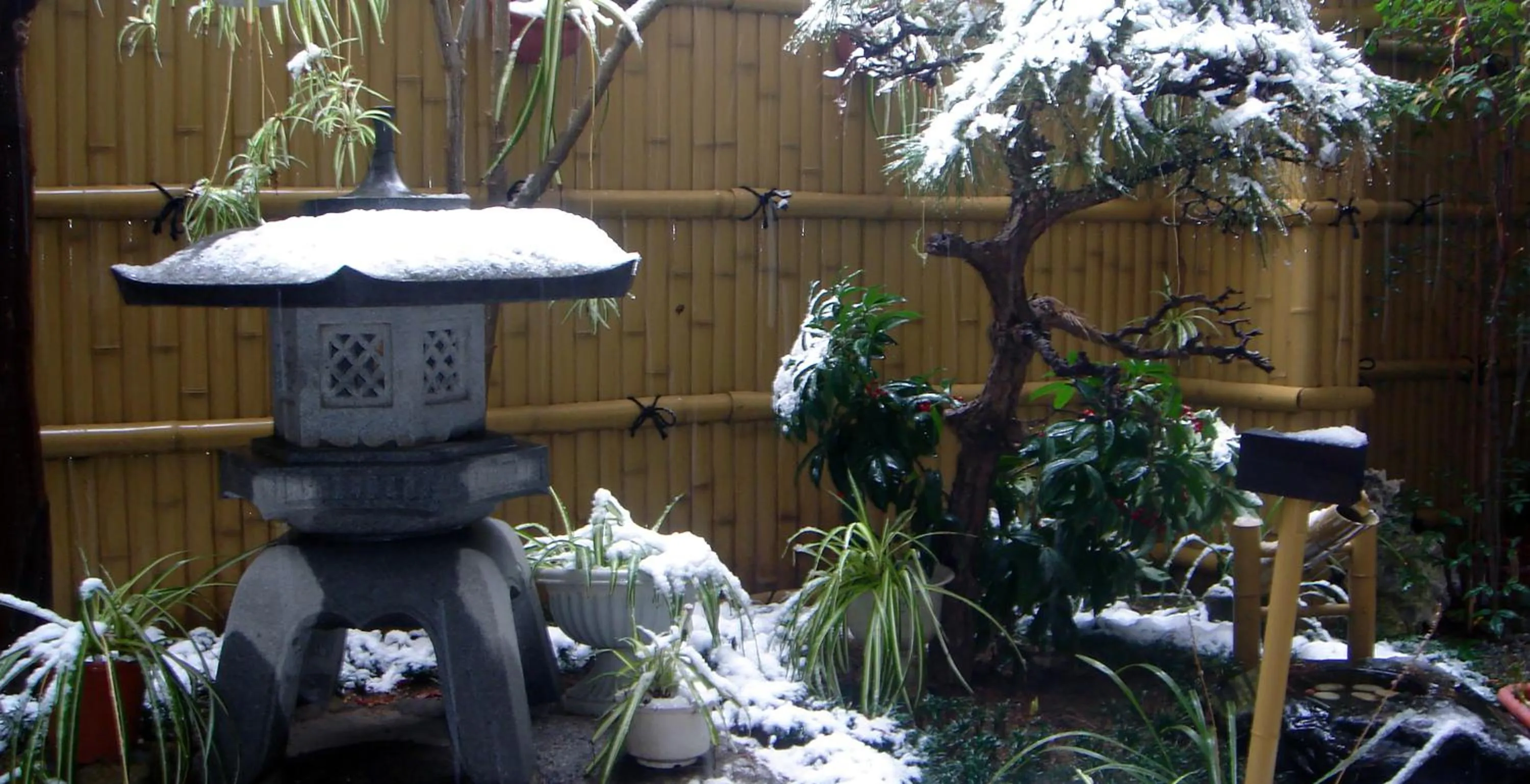 Garden in Nakagawa's Cozy House