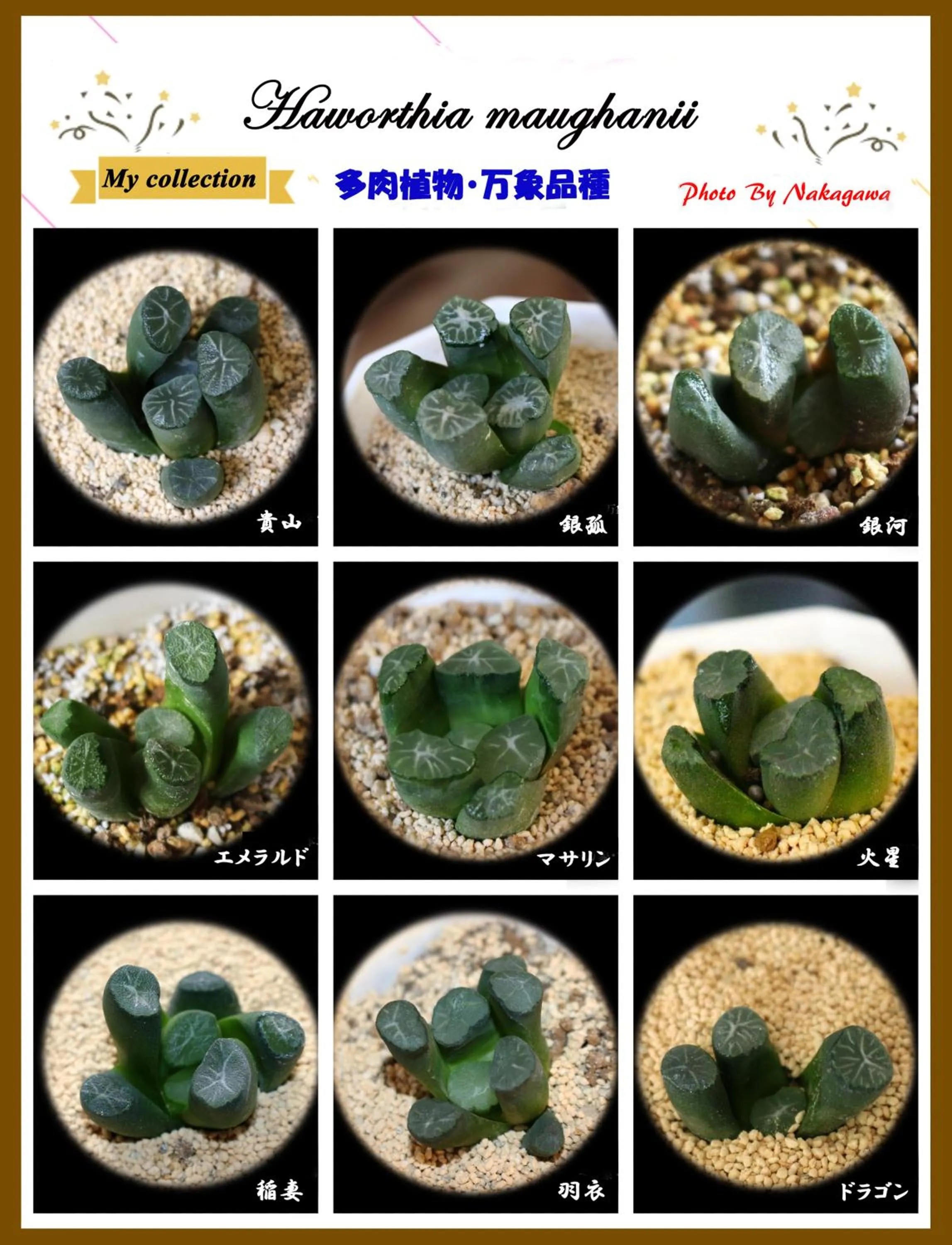 Family in Nakagawa's Cozy House