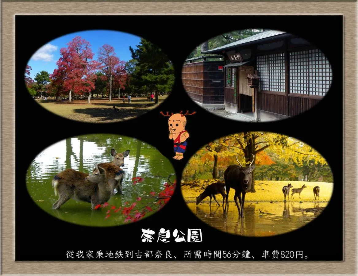 Natural landscape in Nakagawa's Cozy House