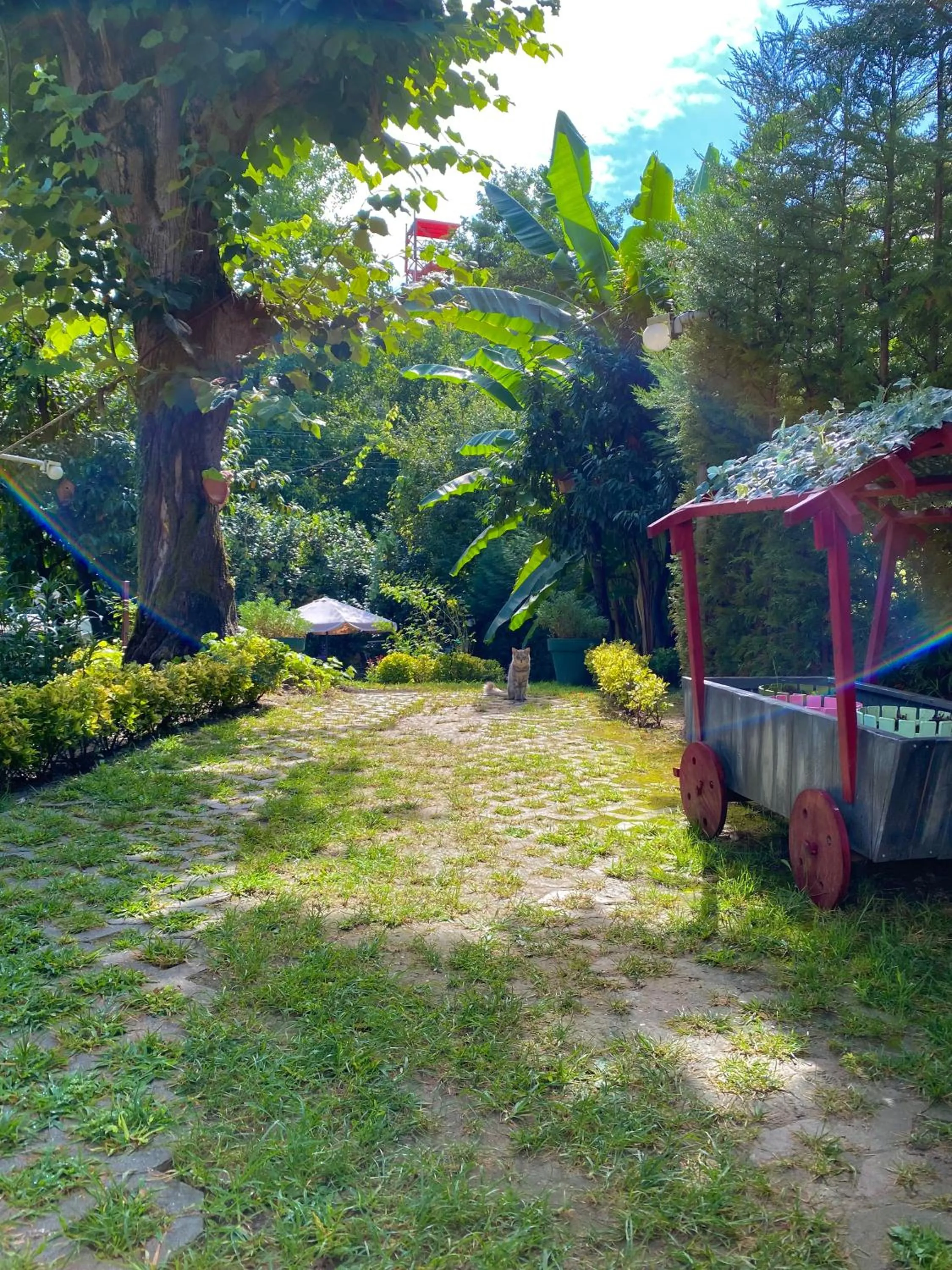 Kadifeli Konak Hotel & Bungalow