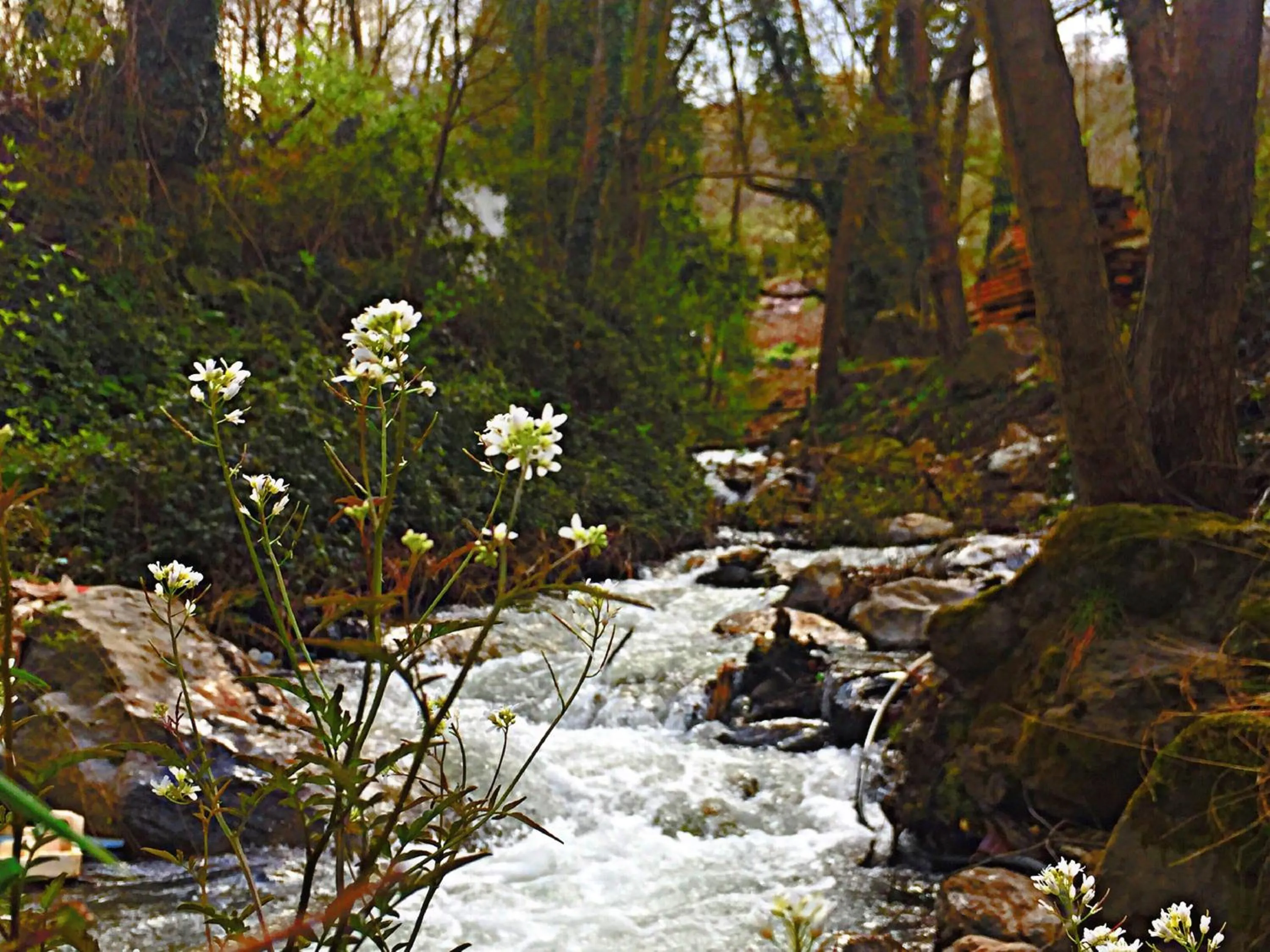 Natural landscape in Kadifeli Konak Hotel & Bungalow