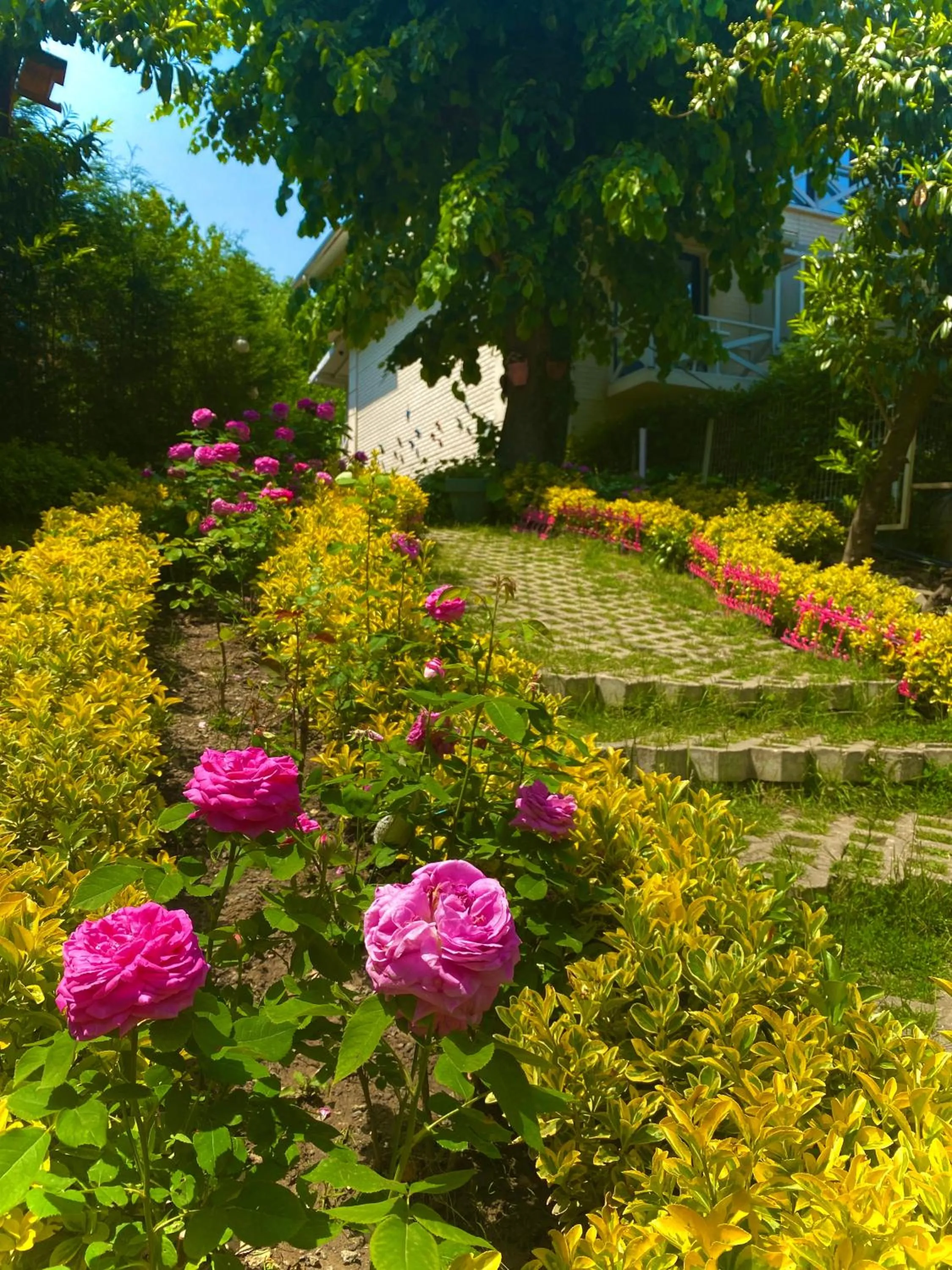 Kadifeli Konak Hotel & Bungalow