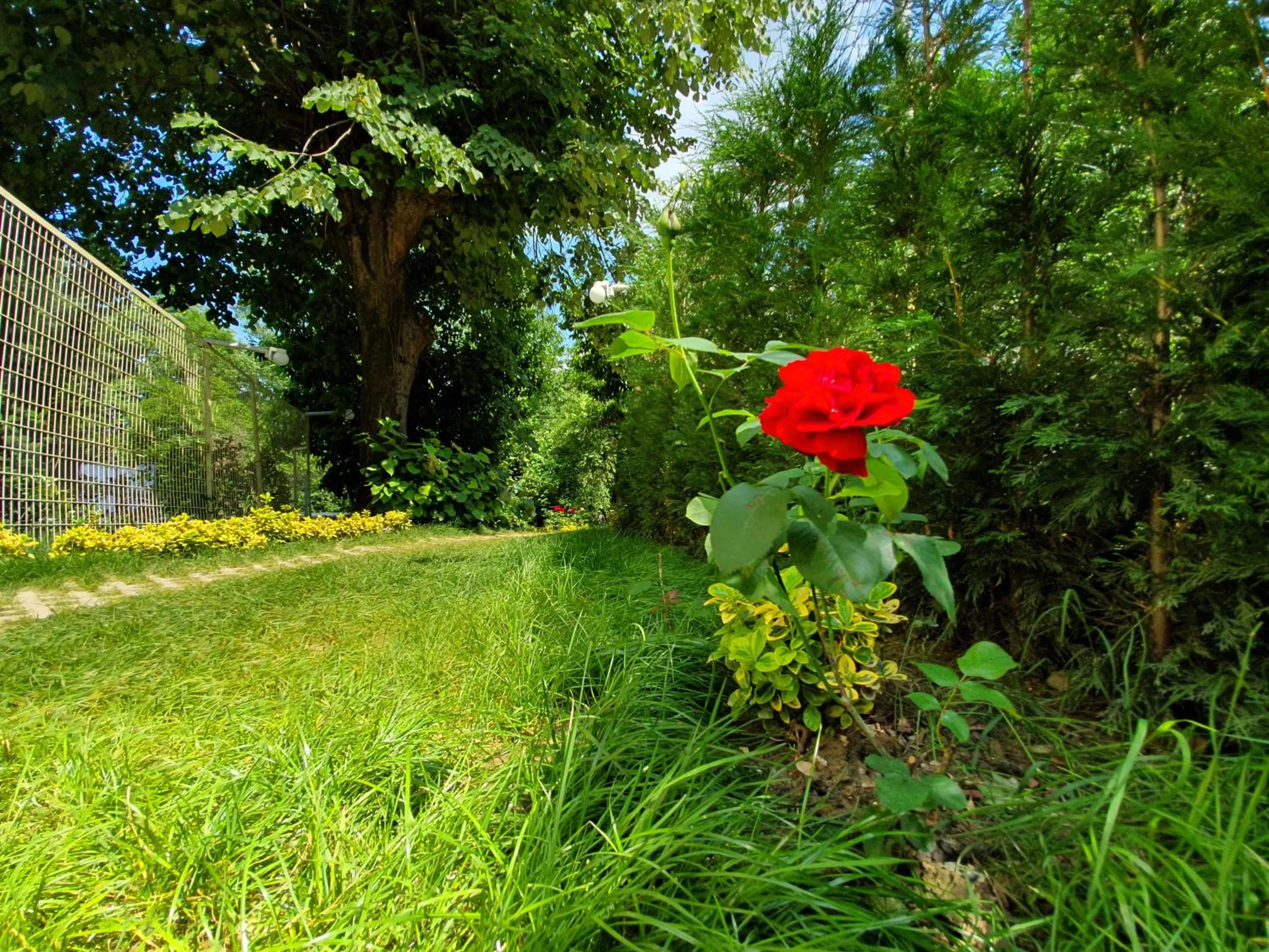 Natural landscape in Kadifeli Konak Hotel & Bungalow