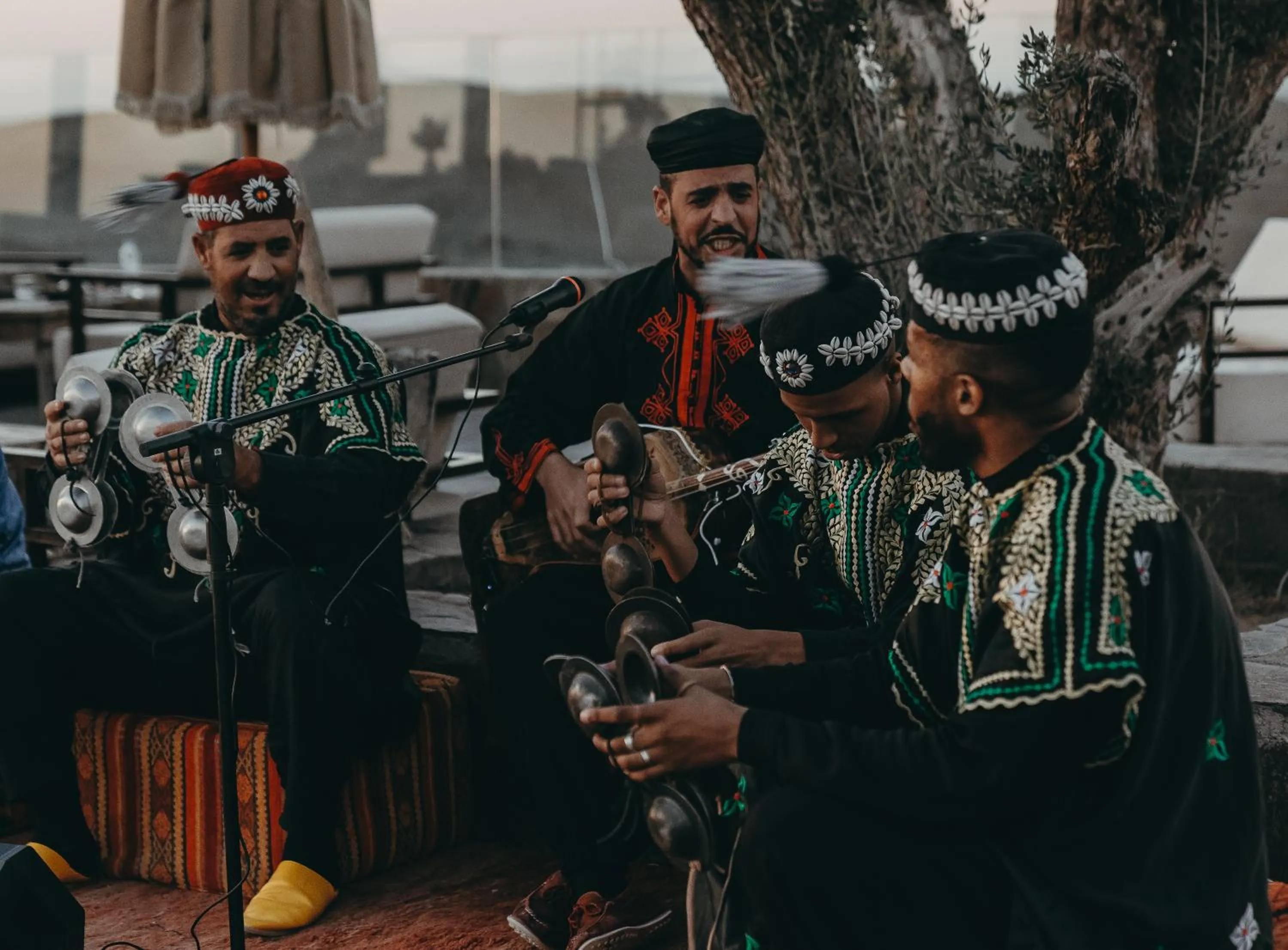 The White Camel Camp - Agafay Desert Activities