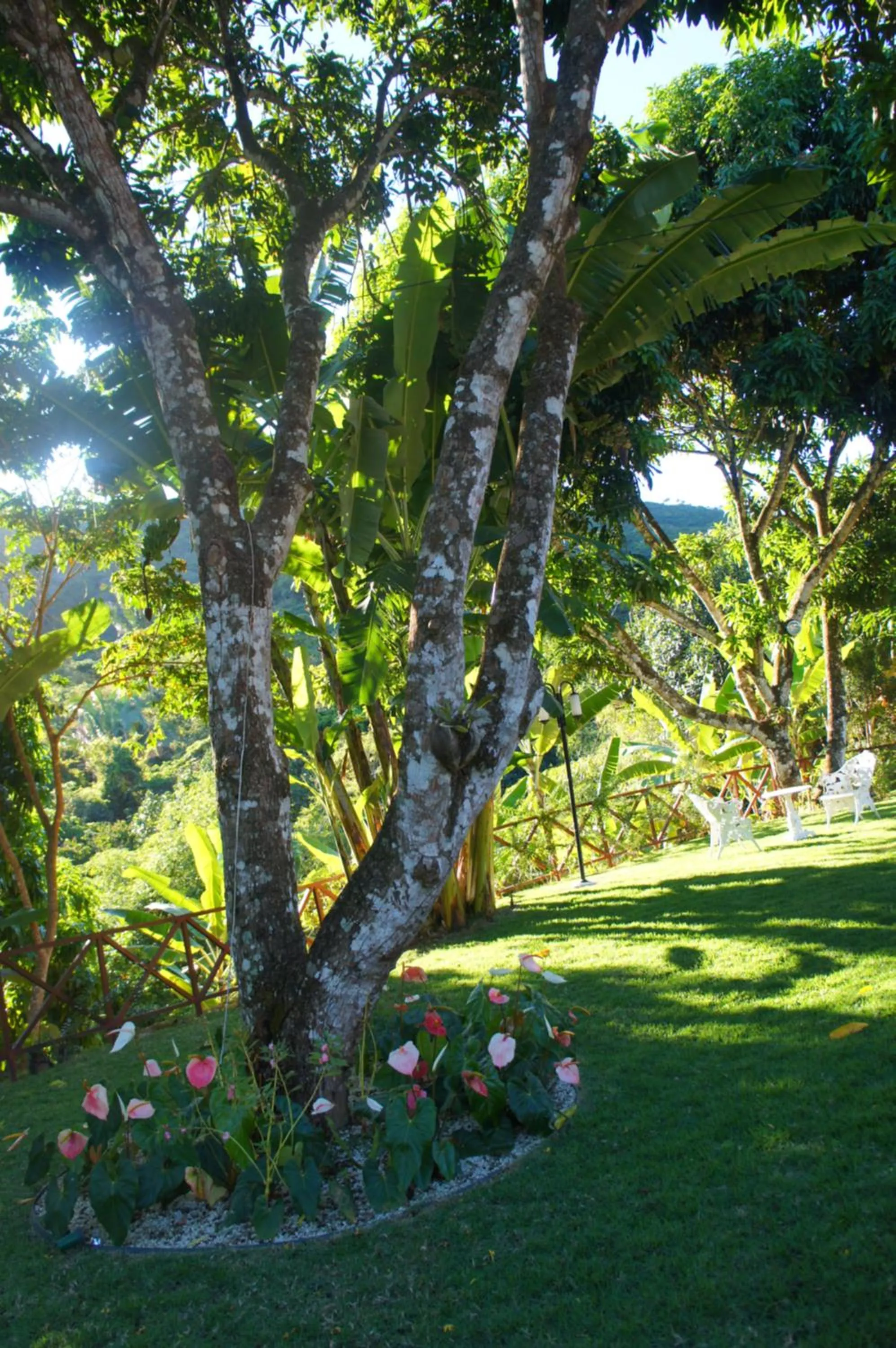 HOTEL CANTINHO DAS FLORES