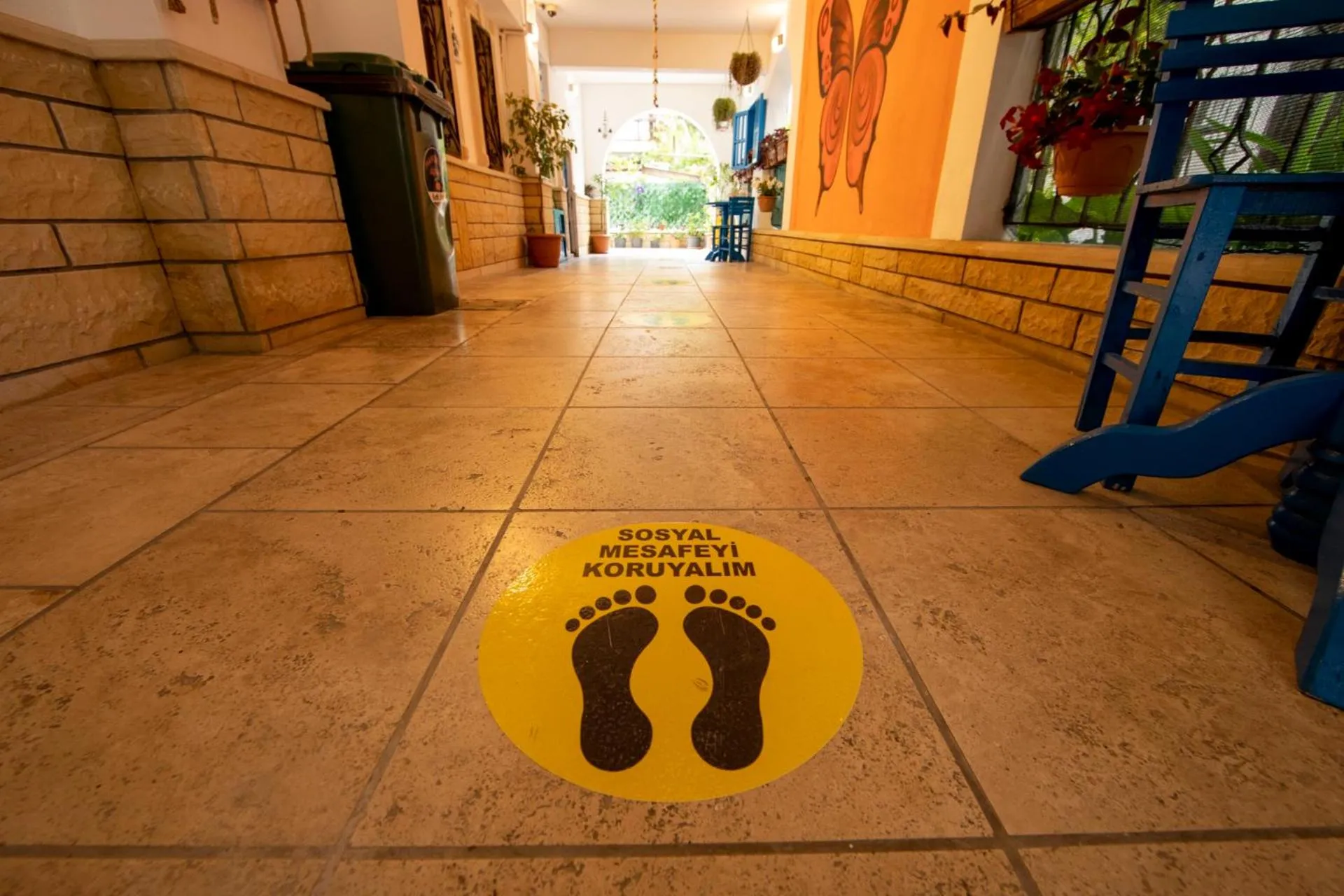 Certificate/Award in MANDALİN AKYAKA