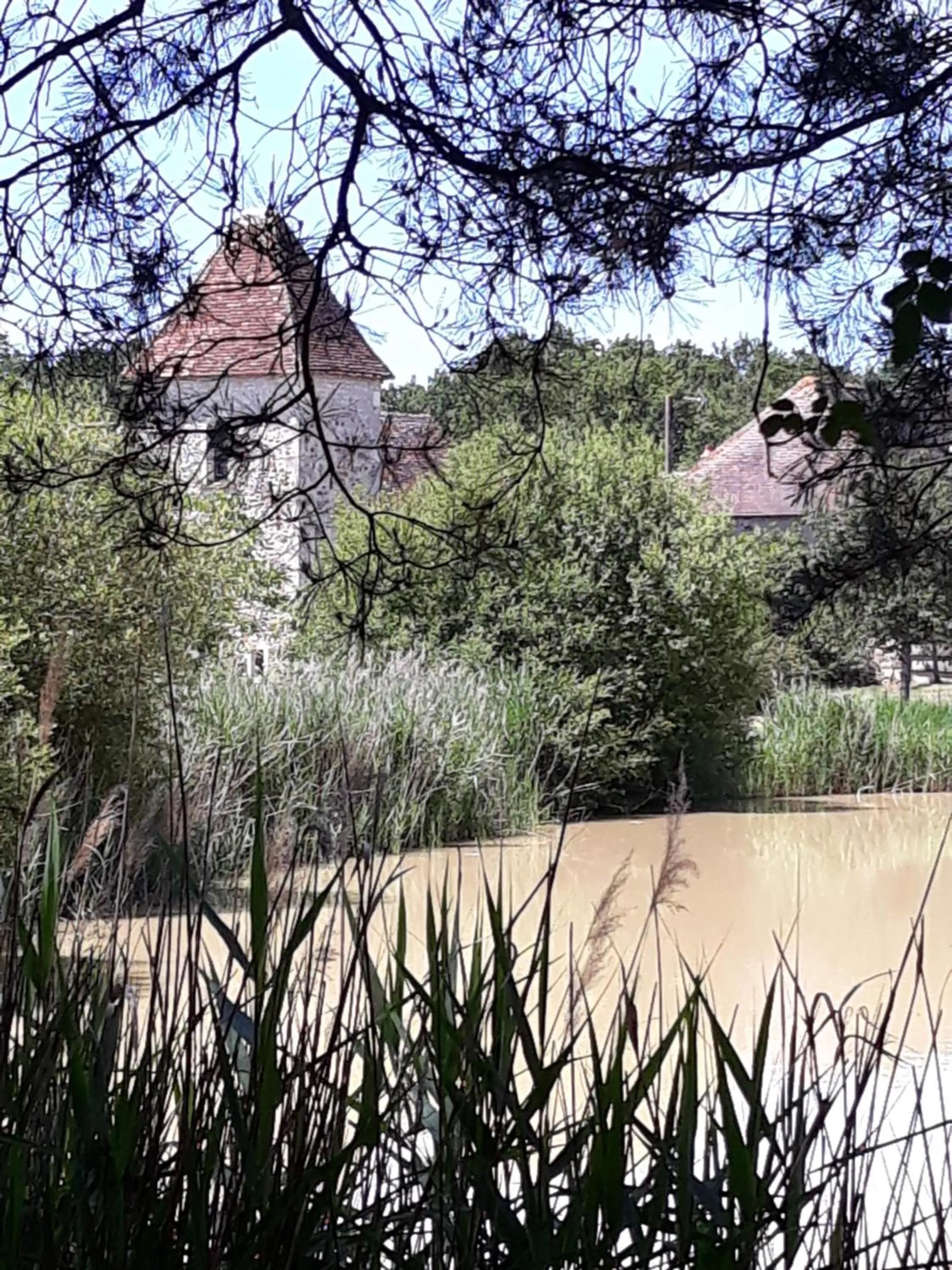 Natural landscape in Le Manoir de Pierre Levée, The Originals Collection