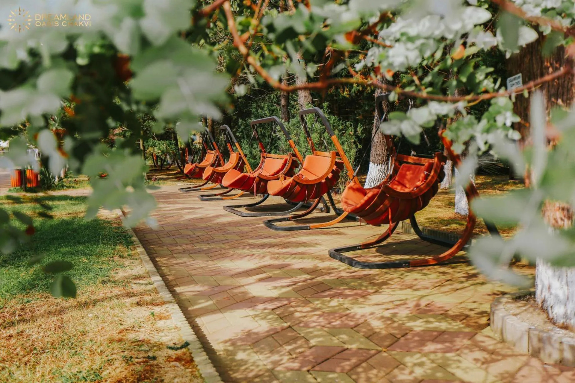 Garden in Dreamland Oasis Aparthotel