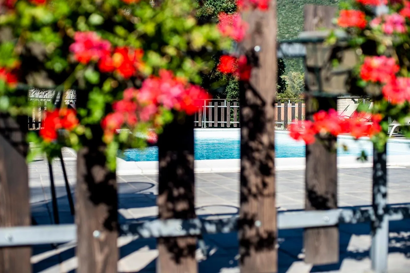 Swimming pool in Albergo Fontanelle