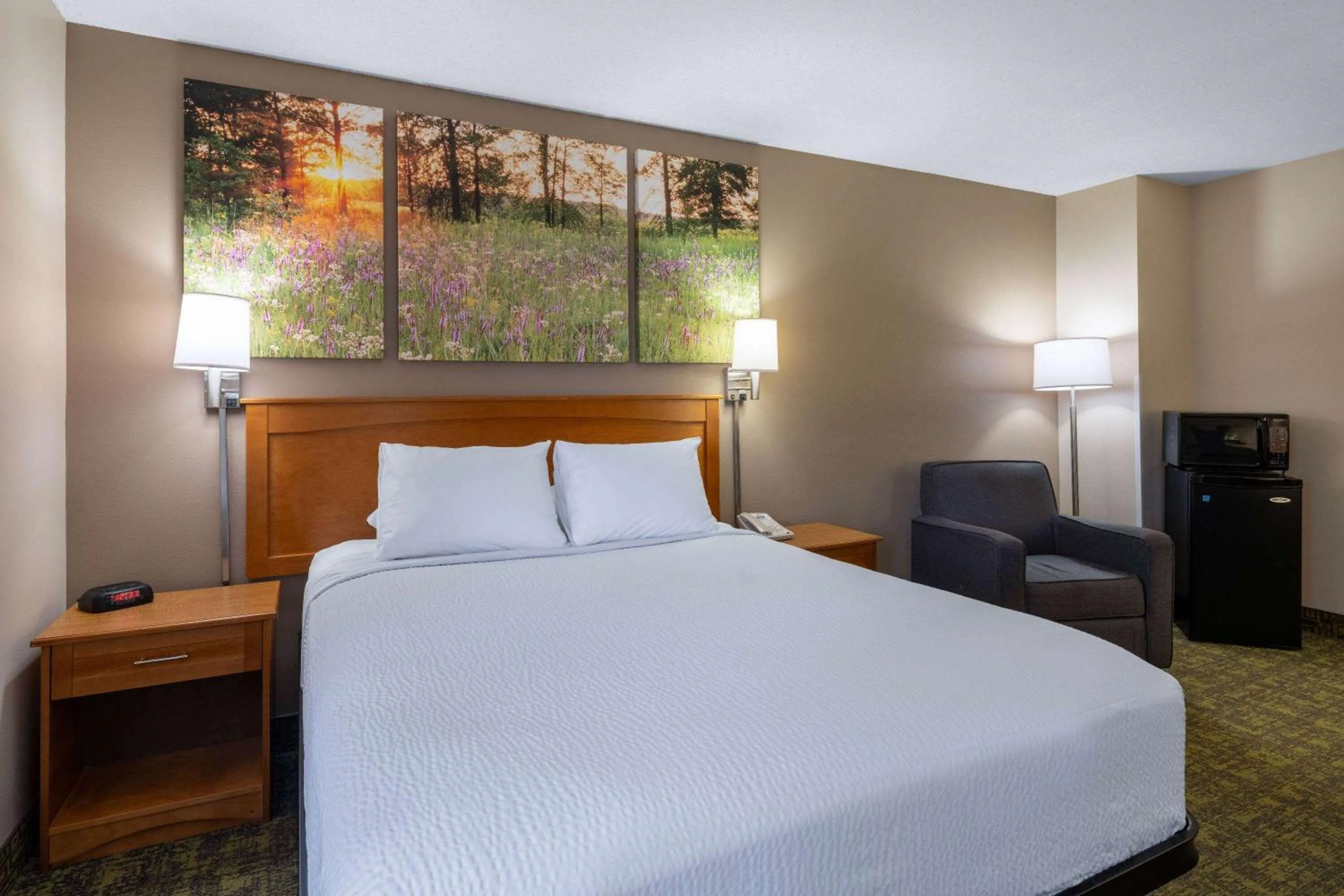 Photo of the whole room, Bed in Days Inn & Suites by Wyndham Madison
