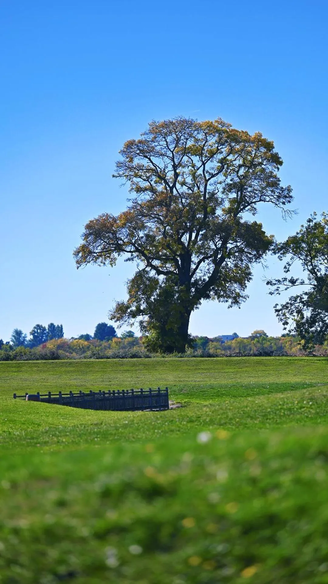 Golfcourse in Relais de Margaux - Hôtel, Golf & Spa