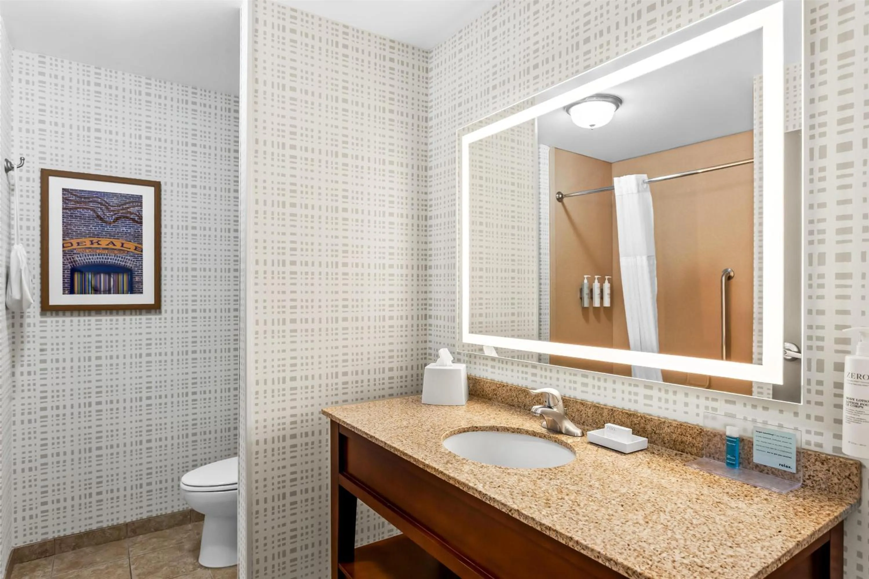 Bathroom in Hampton Inn Dekalb - Near the University