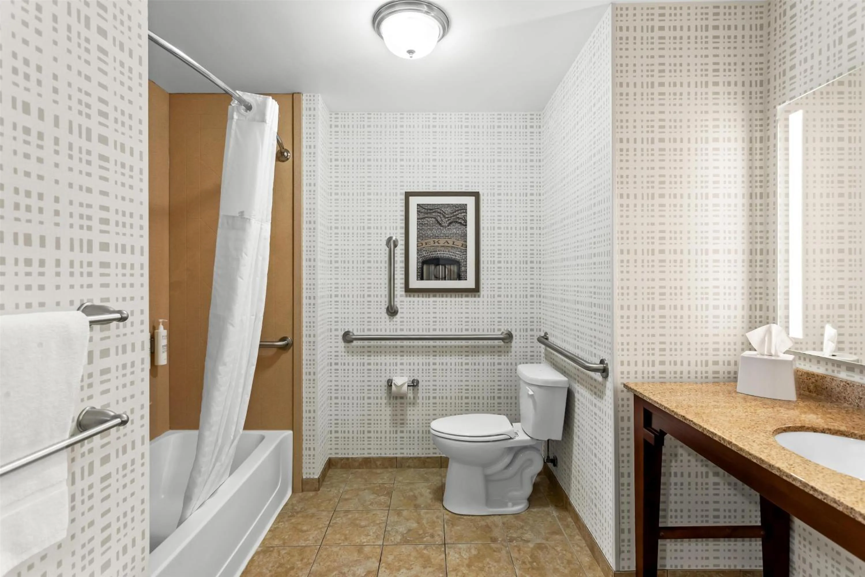 Bathroom in Hampton Inn Dekalb - Near the University